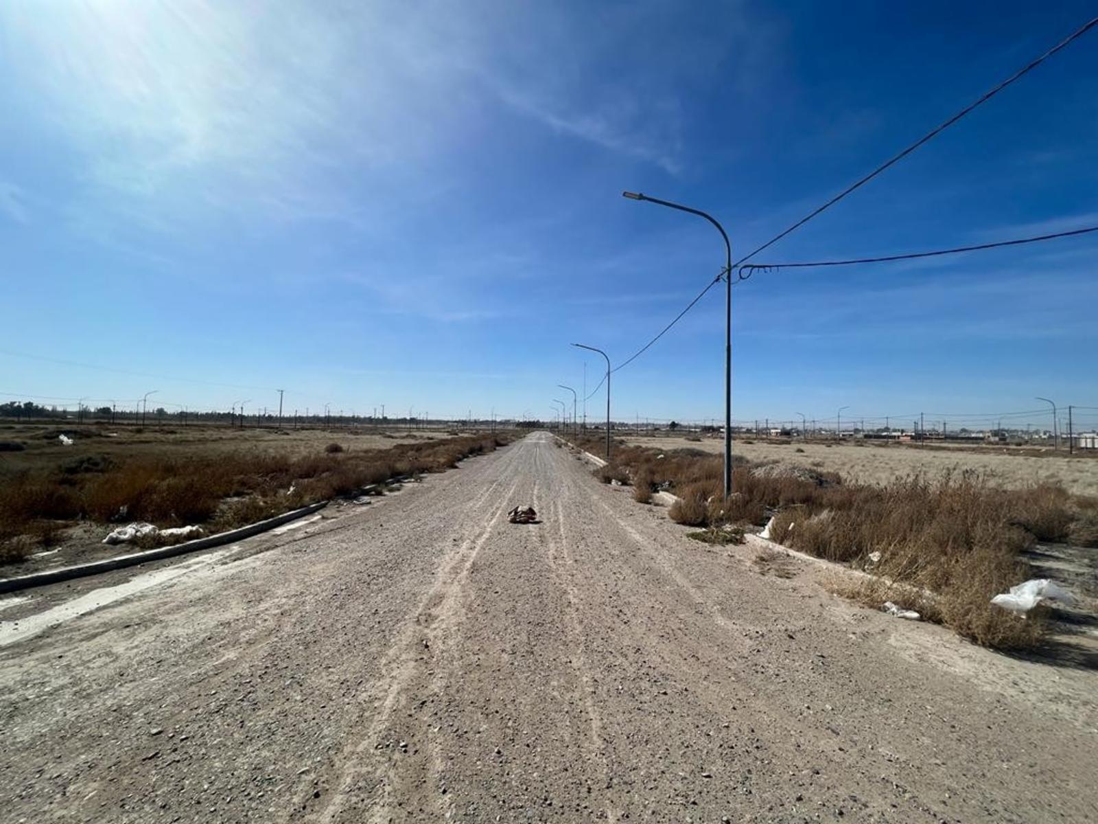 EX RUTA NAC N3 VIEDMA · Adolfo Alsina — foto 5