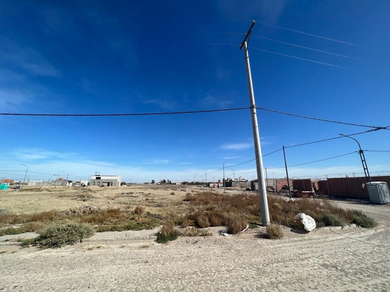 EX RUTA NAC N3 VIEDMA · Adolfo Alsina — foto 7