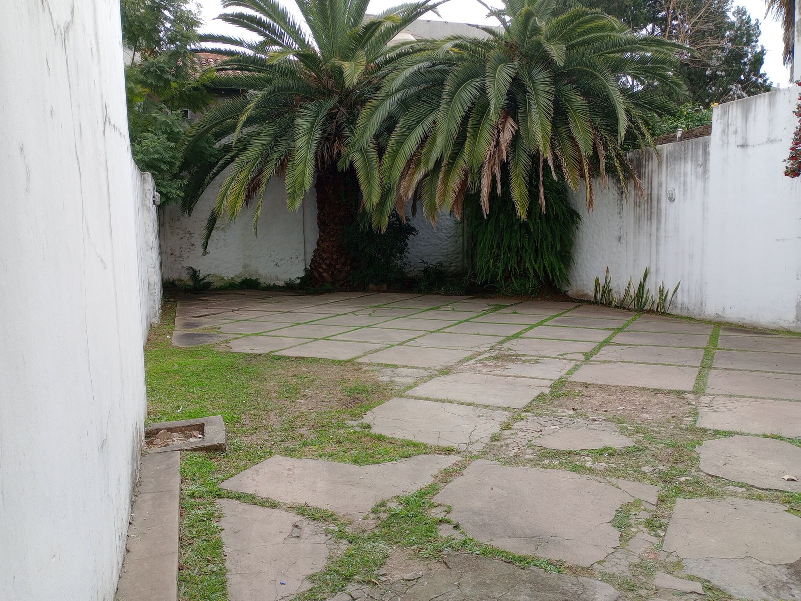 DON BOSCO 133 · San Isidro — foto 21