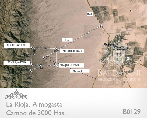 CAMPO DE 3000 HAS. EN AIMOGASTA - ARAUCO - CATAMARCA - REPÚBLICA ARGENTINA -  LLEGA AL CERRO VELAZCO.