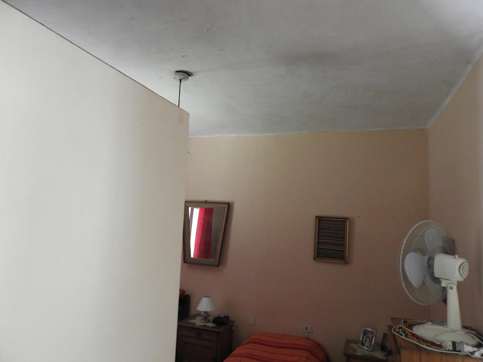 GUIDO 465 · Tigre — foto 4