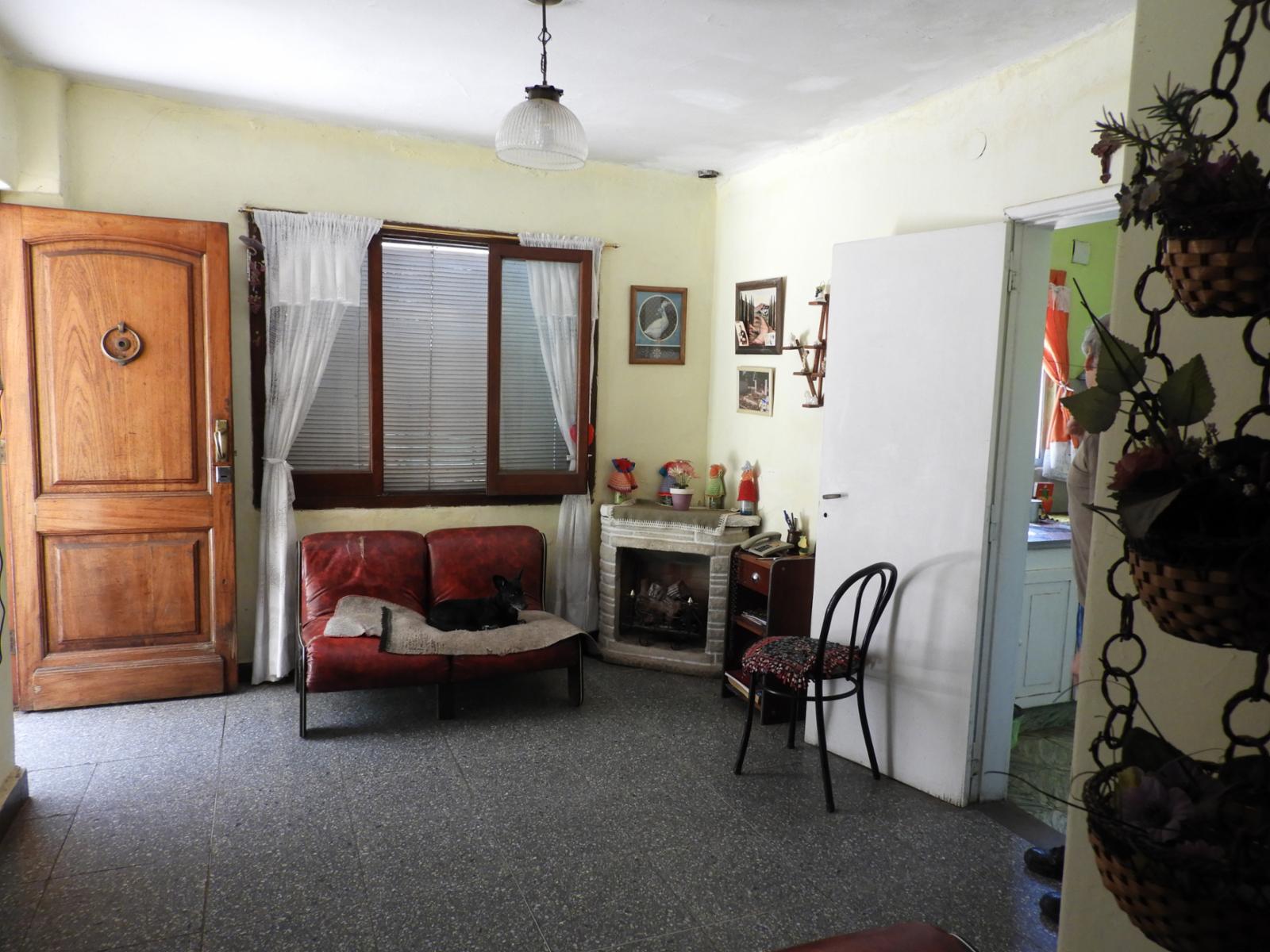 GUIDO 465 · Tigre — foto 6