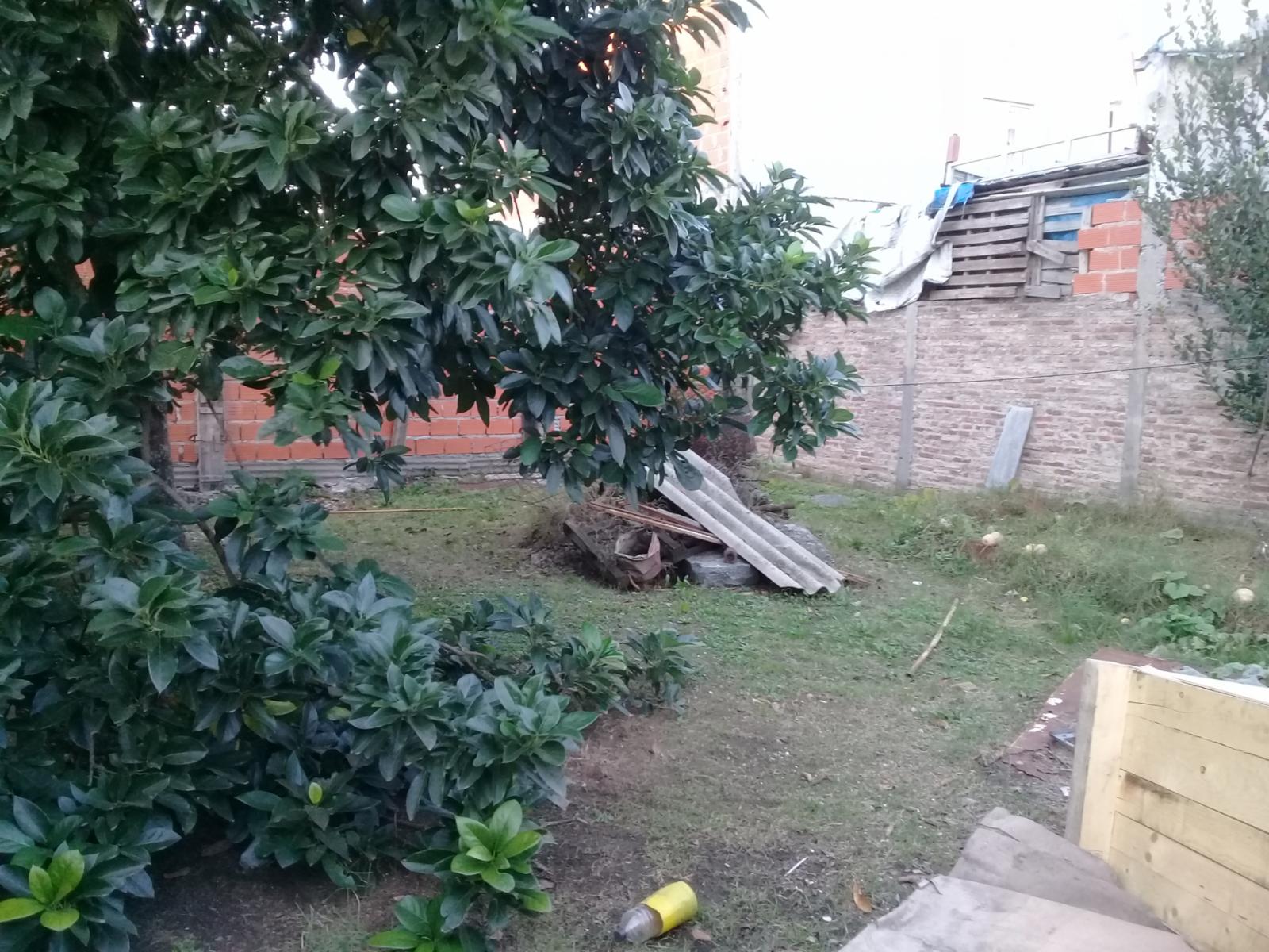 IBERA 8093 · San Martín — foto 3