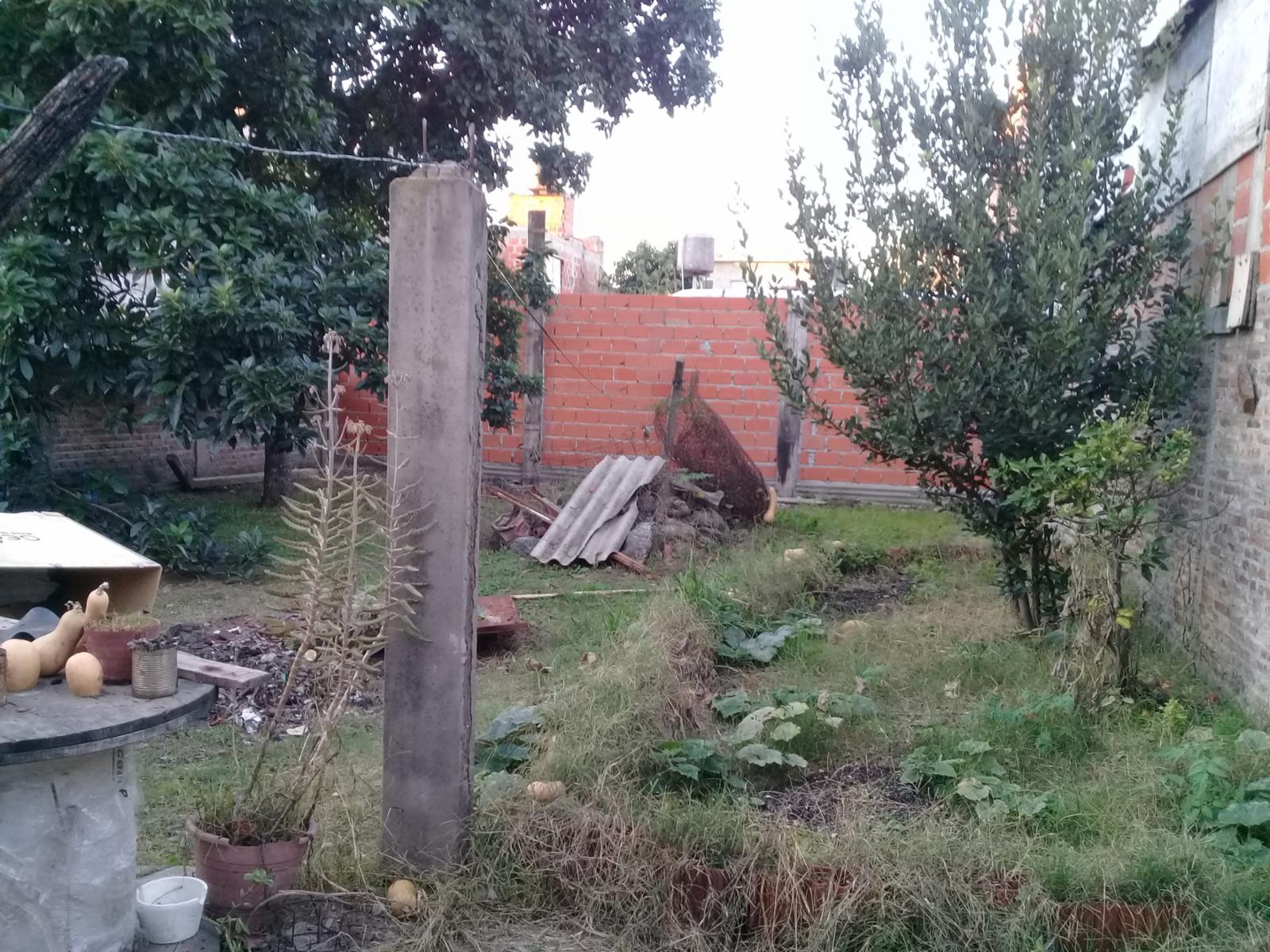 IBERA 8093 · San Martín — foto 5