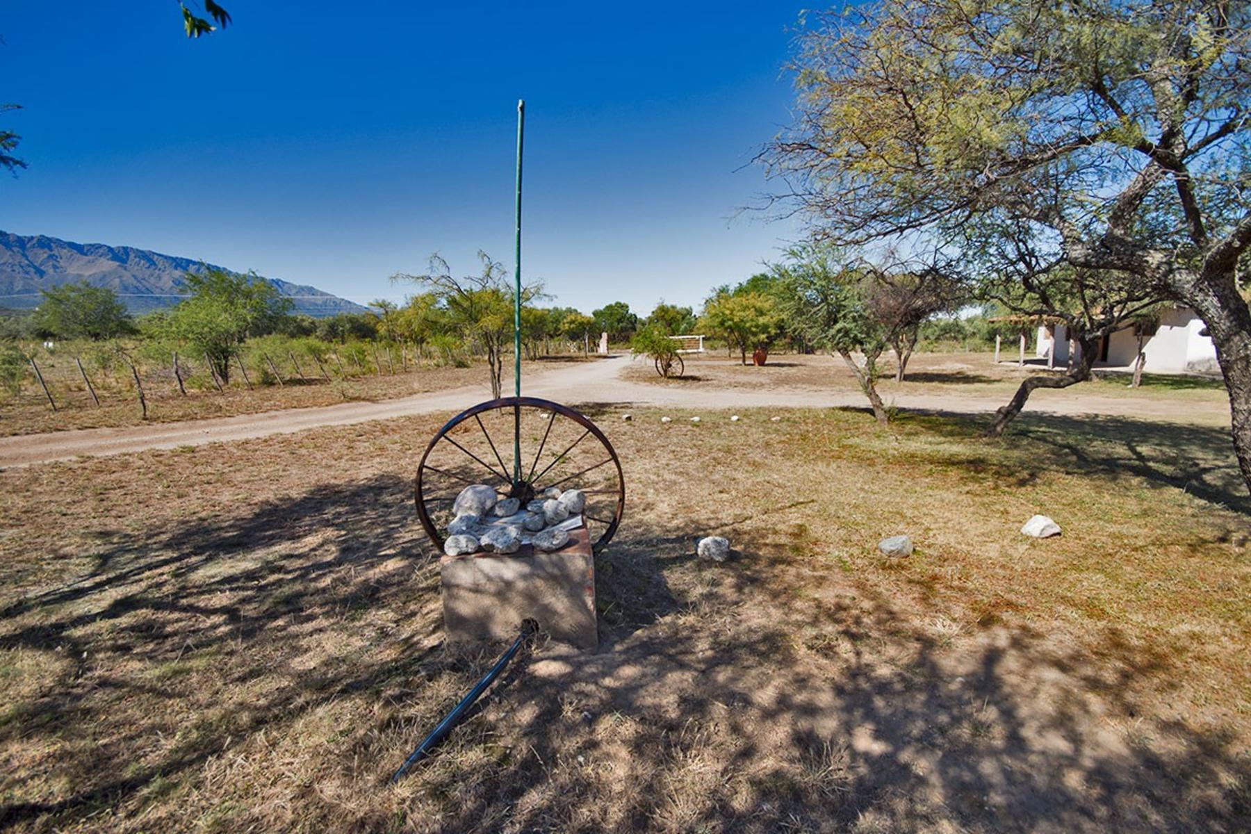 a 250 mts Ruta P 14 · San Javier — foto 5