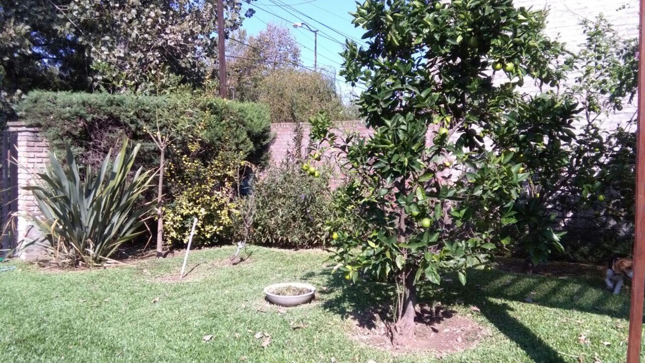 SAN MARTÍN 252 · San Lorenzo — foto 6