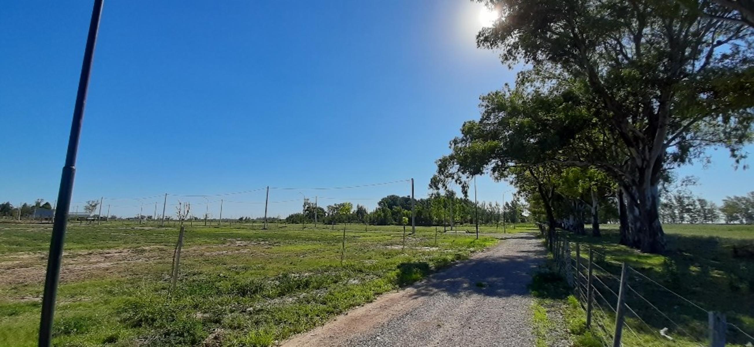 Ruiz Bienes Raíces Los Pinos 3 Ruta AO12 Kilómetro 9 · Rosario — foto 3