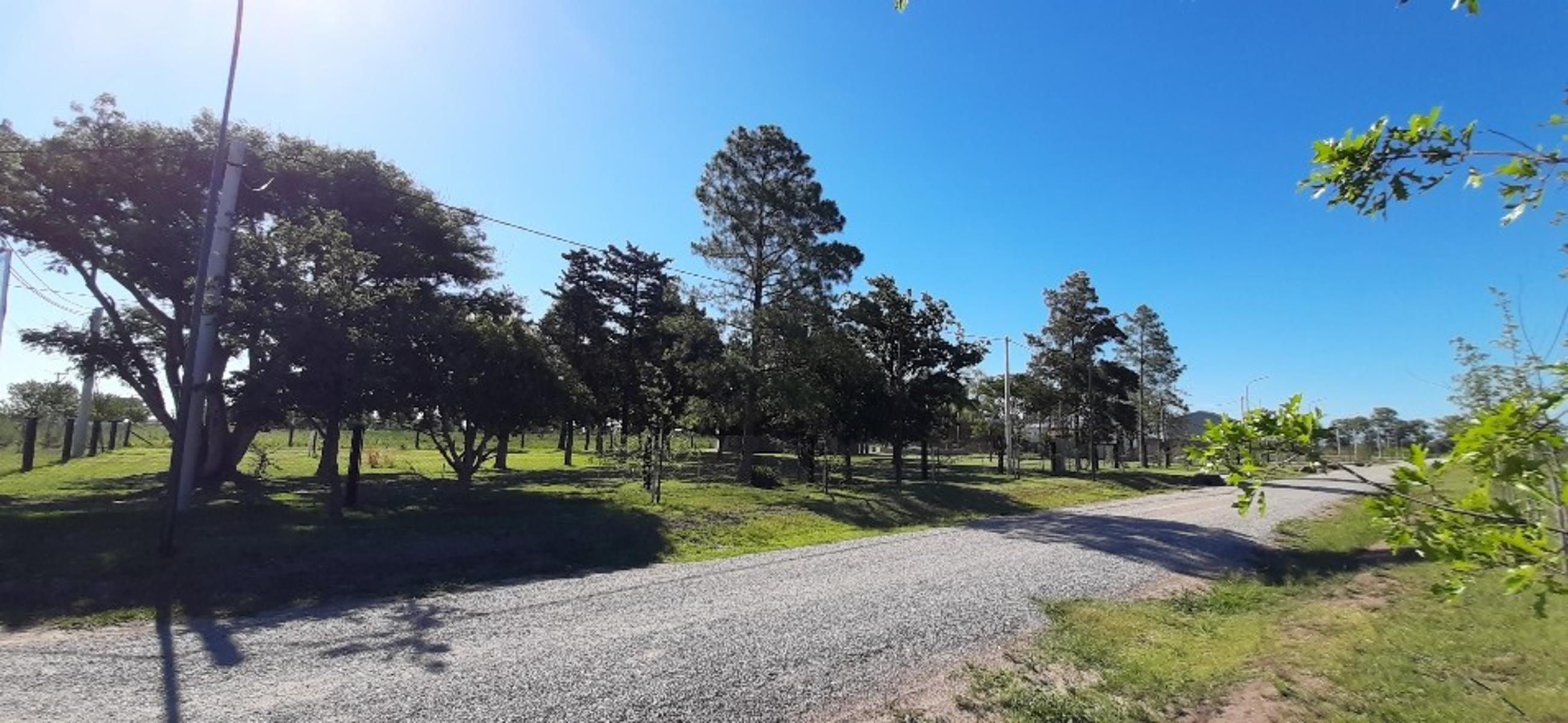 Ruiz Bienes Raíces Los Pinos 3 Ruta AO12 Kilómetro 9 · Rosario — foto 9