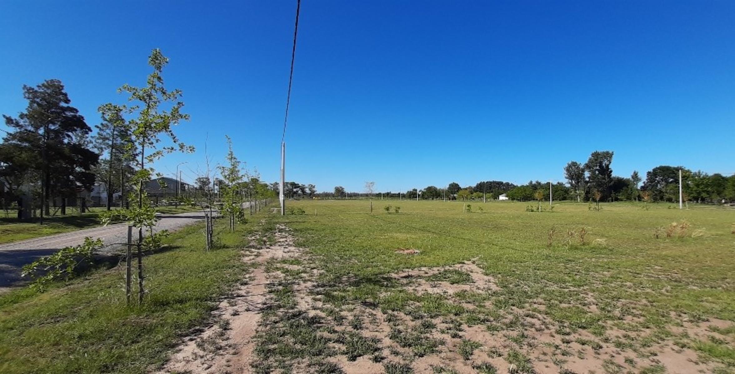 Ruiz Bienes Raíces Los Pinos 3 Ruta AO12 Kilómetro 9 · Rosario — foto 10