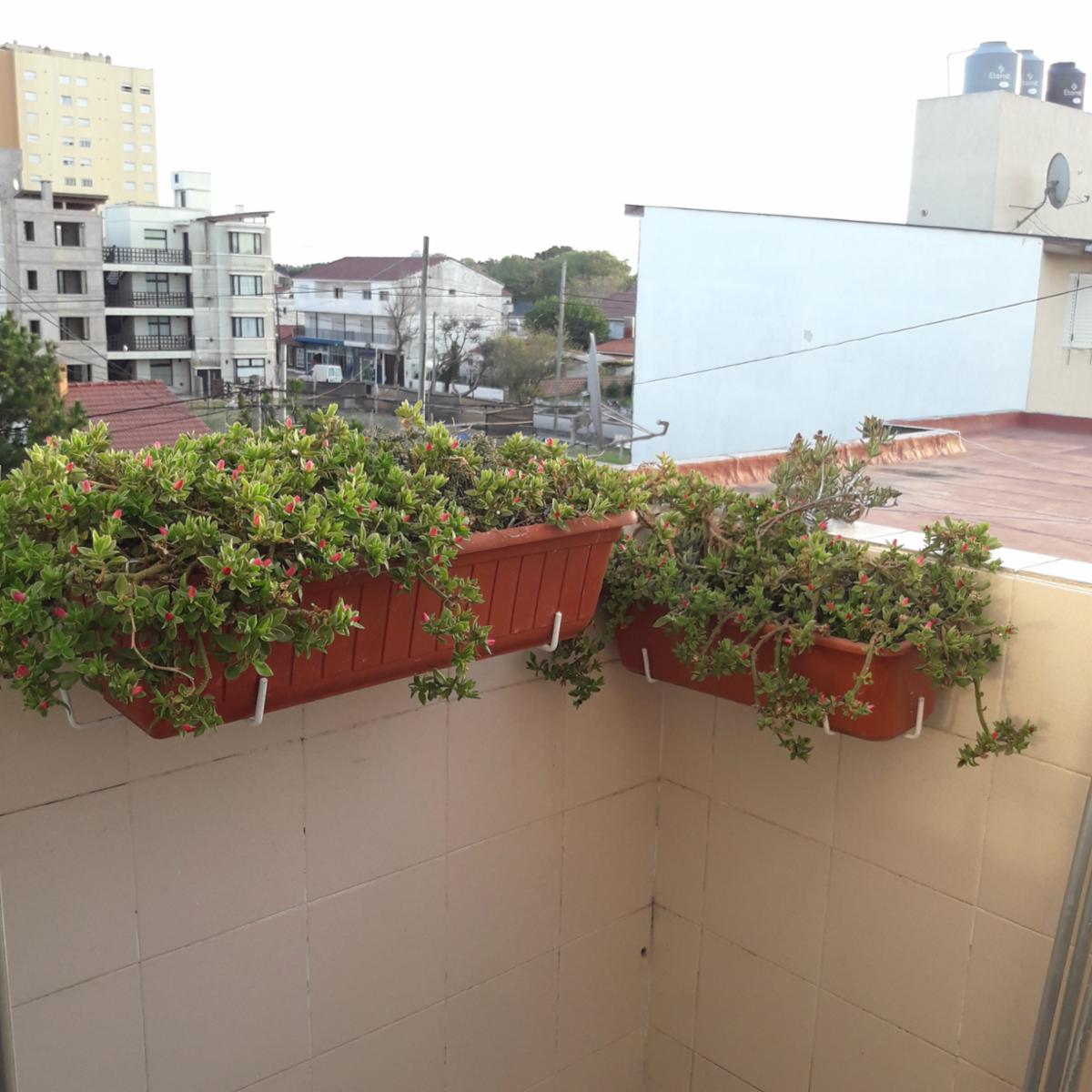 ALBERDI 100 · La Costa — foto 22