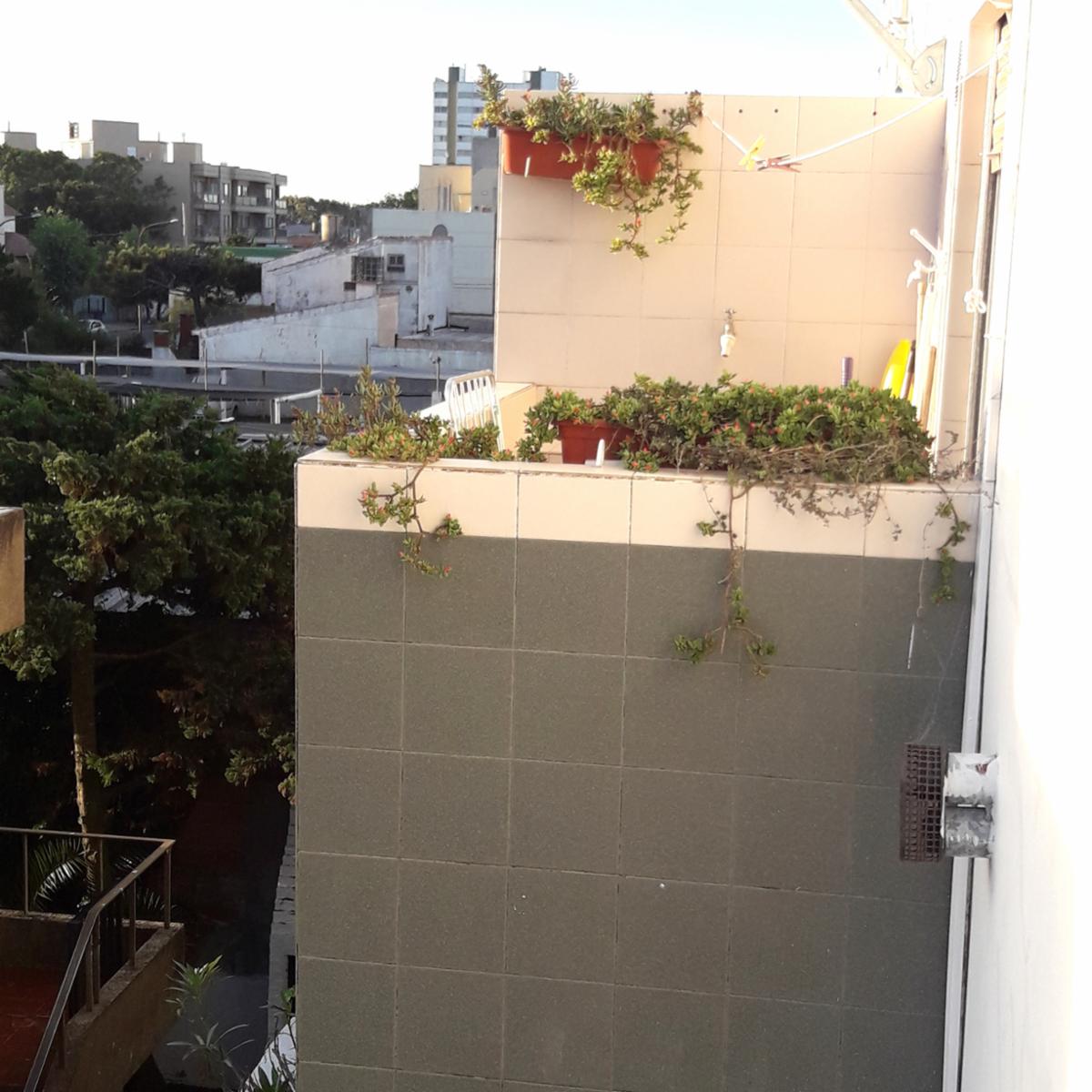 ALBERDI 100 · La Costa — foto 29