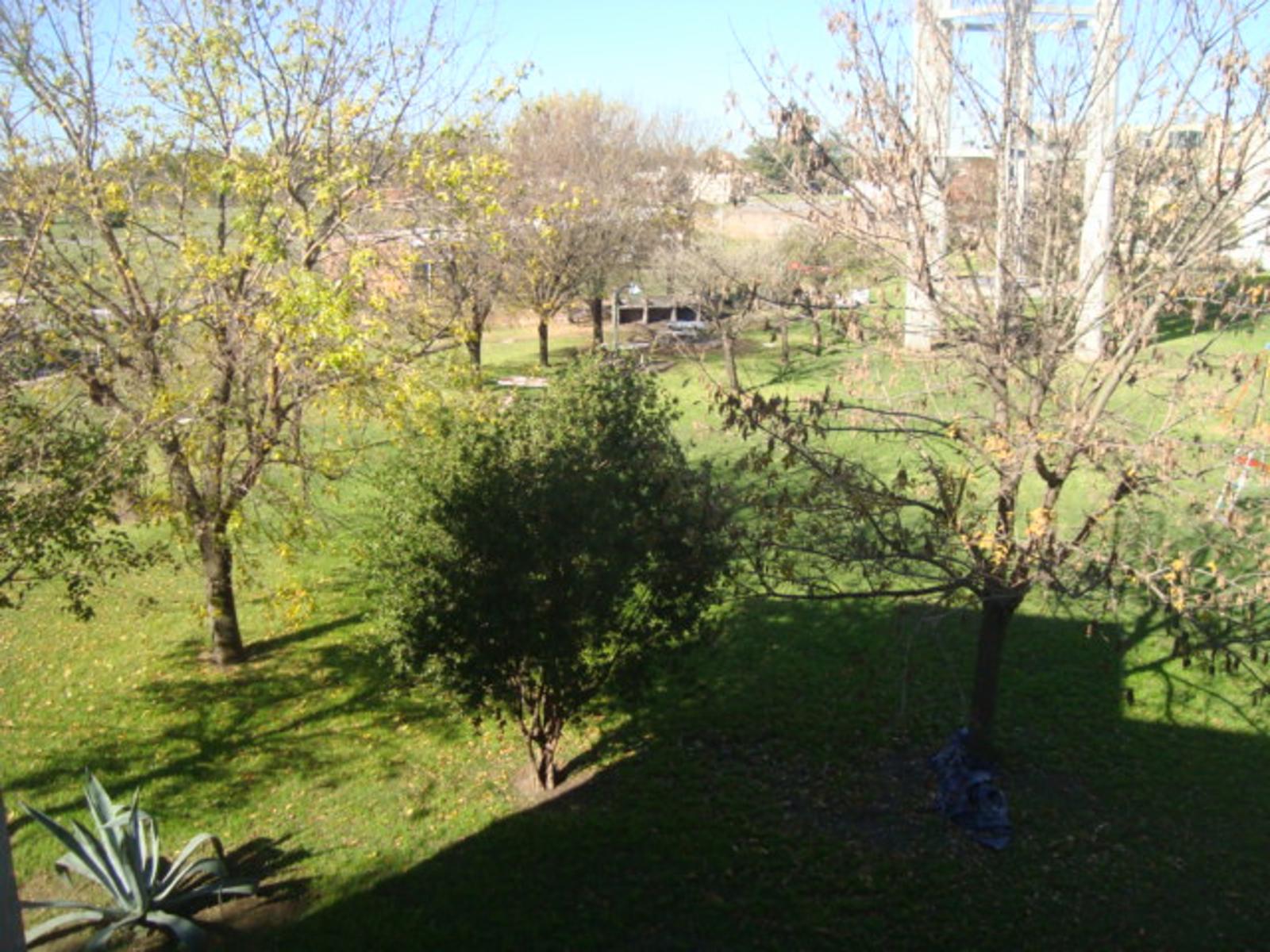 CASTILLO NORTE E IRAOLA · Almirante Brown — foto 11