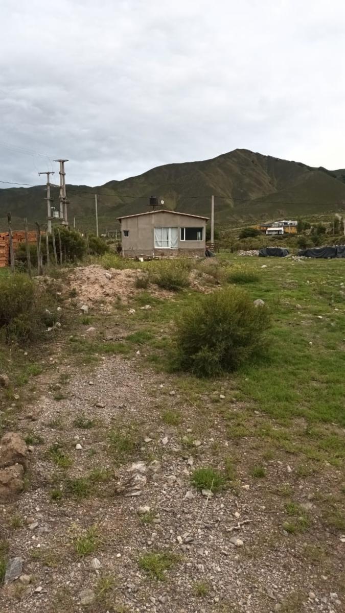 LOS ALISOS · Tafí del Valle — foto 5