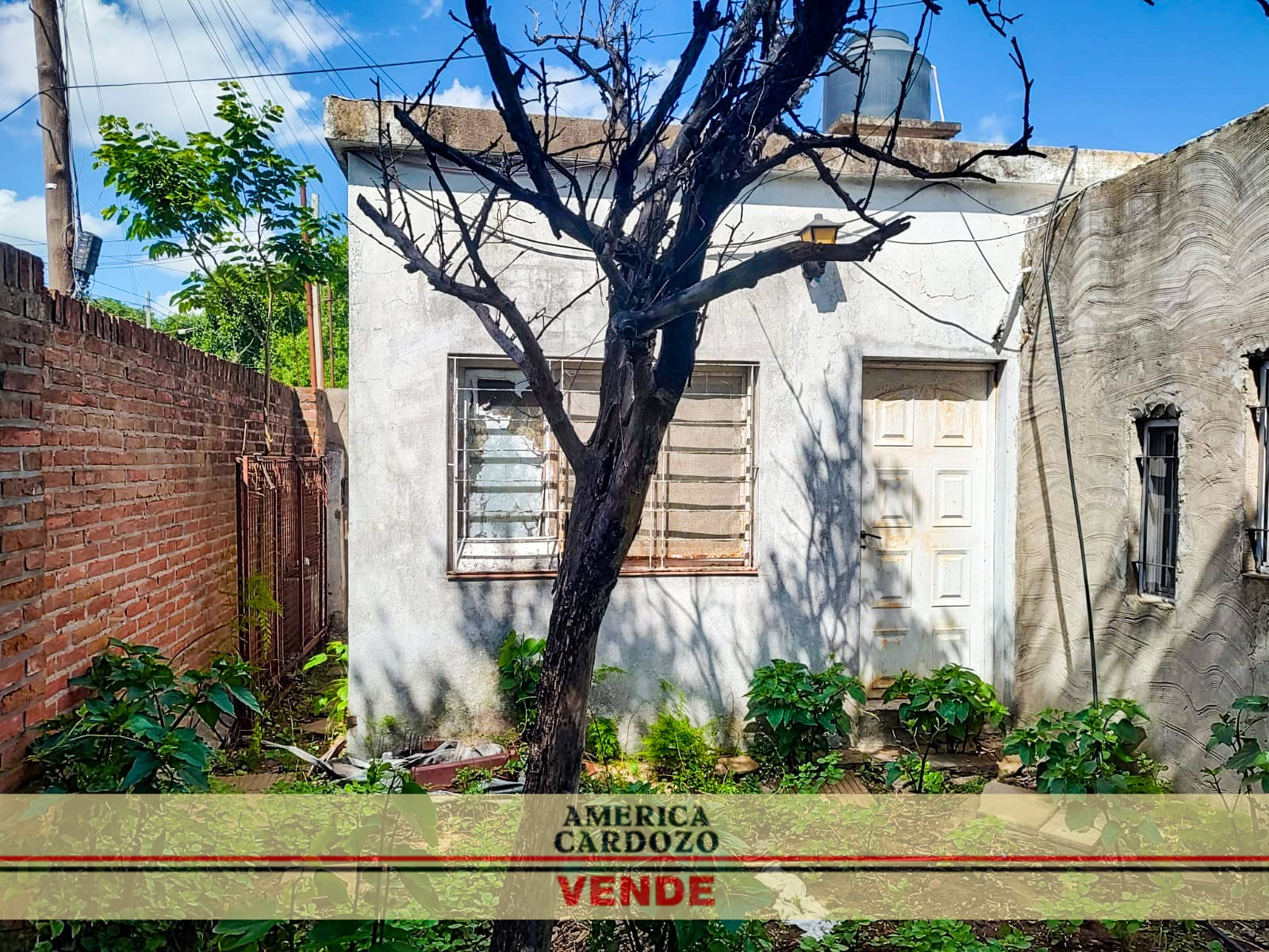 Campichuelo 1613 · Merlo — foto 6