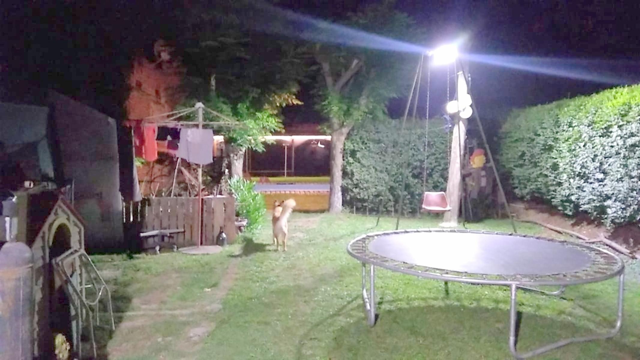 Oliden 224 · Moreno — foto 19