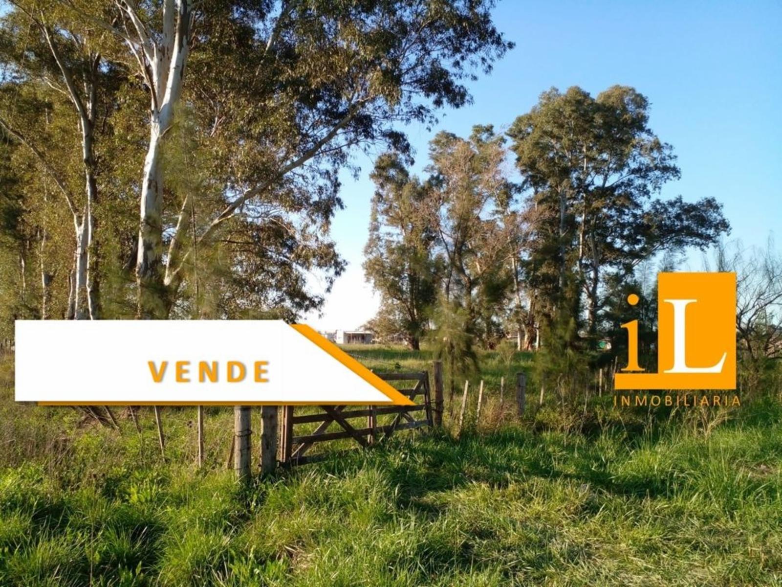 LOTEO SOBRE RUTA 210
