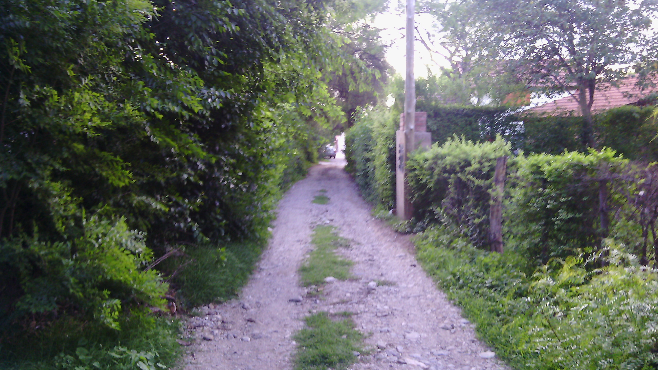 Becerra · Junín — foto 11