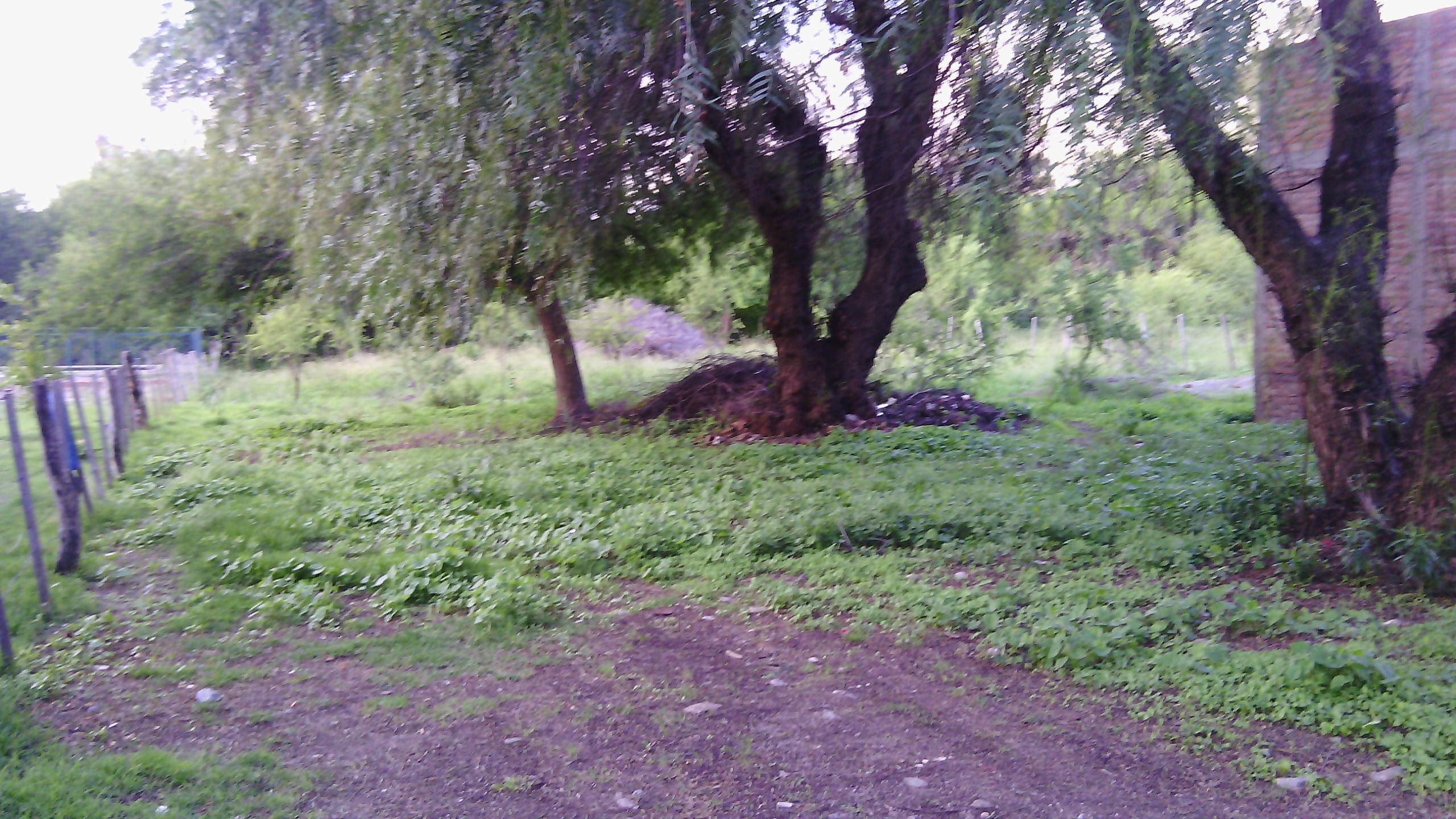 Becerra · Junín — foto 3