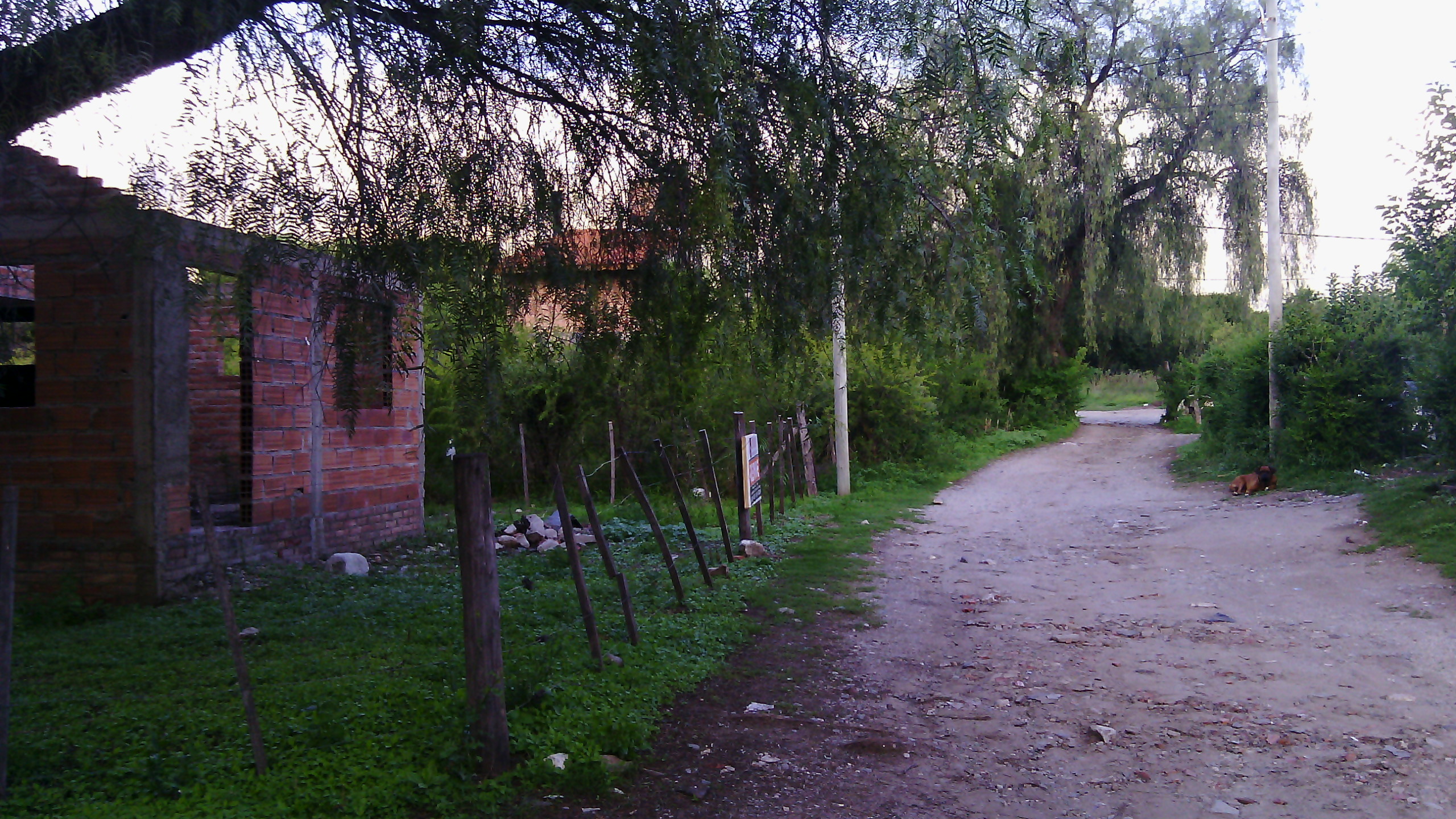 Becerra · Junín — foto 4
