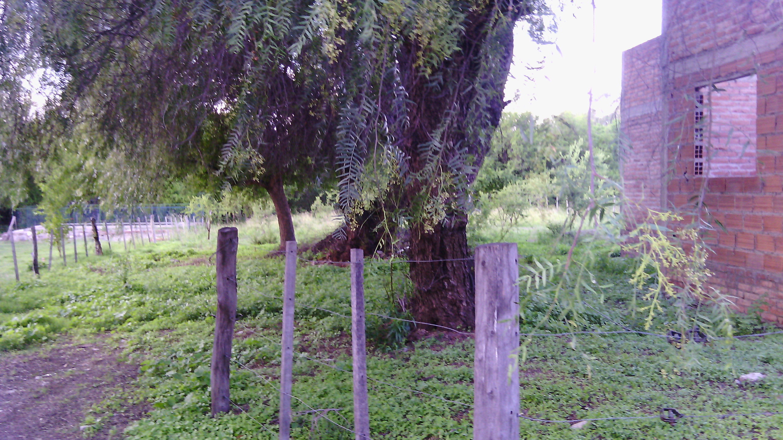 Becerra · Junín — foto 8