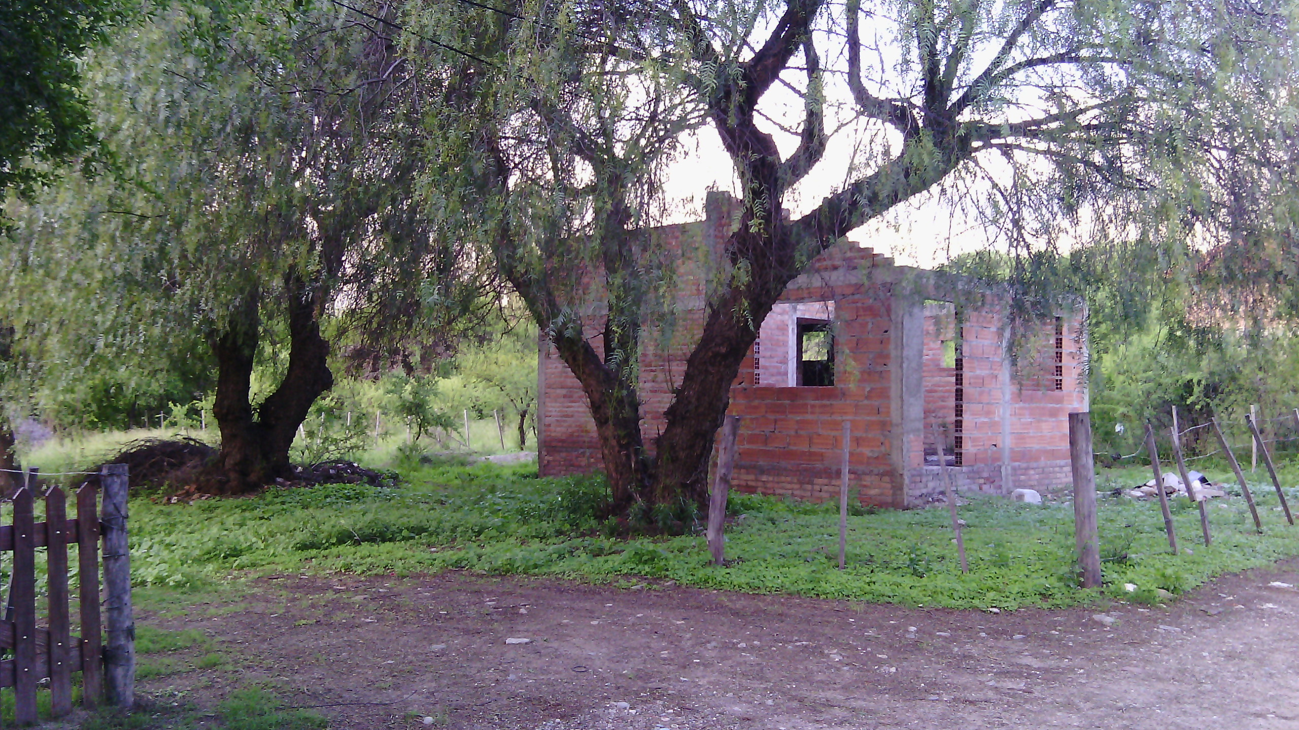 Becerra · Junín — foto 9