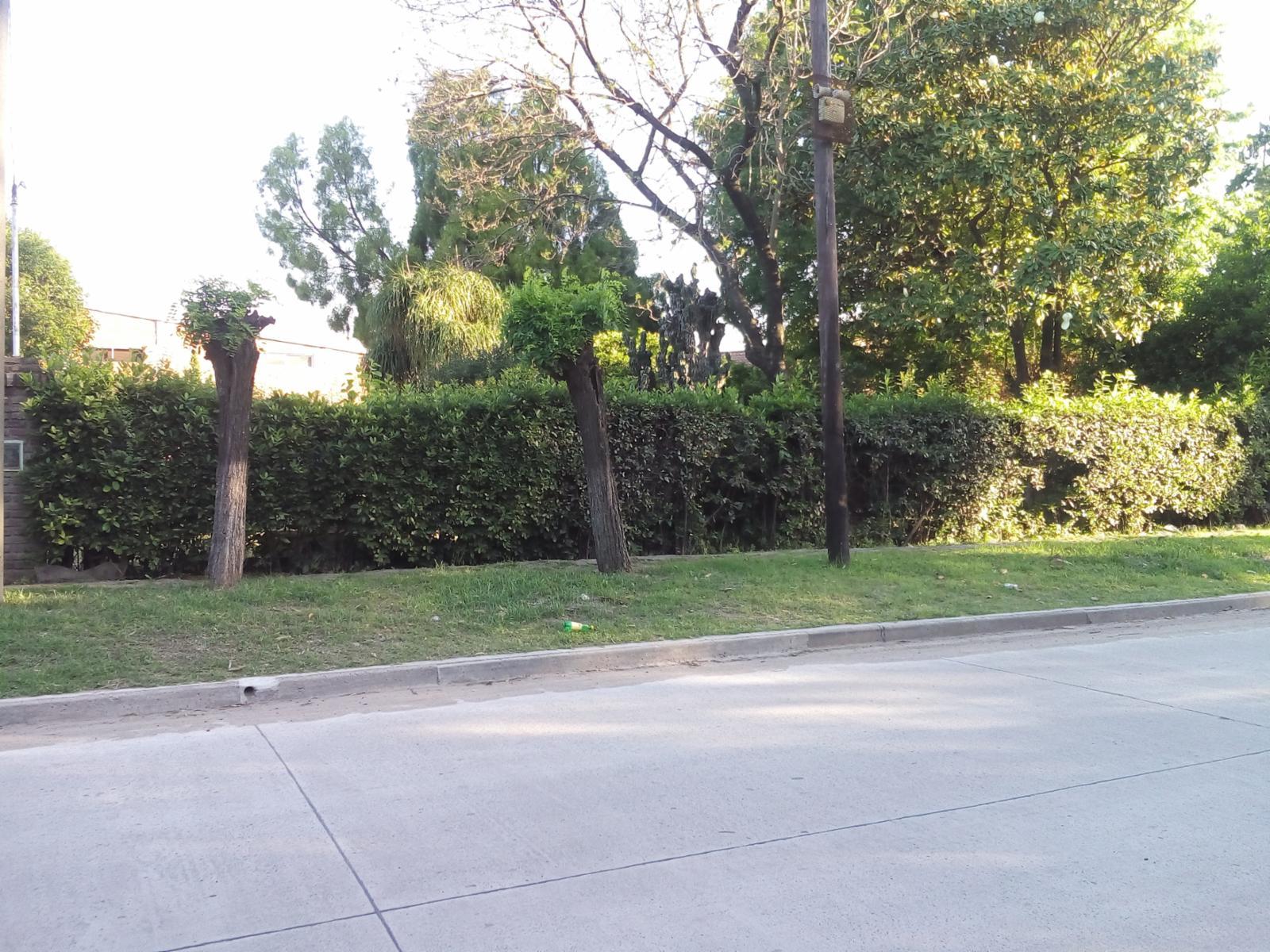 lote sobre asfalto a mts de ruta 8