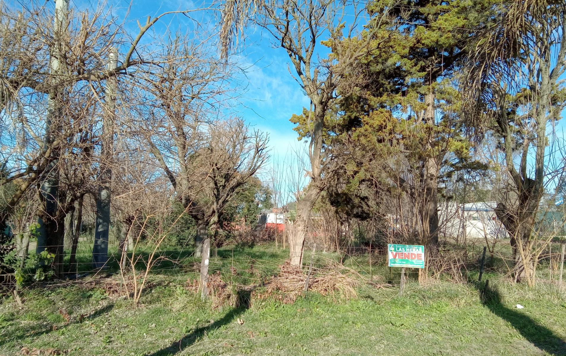 Lote de terreno excelente ubicación