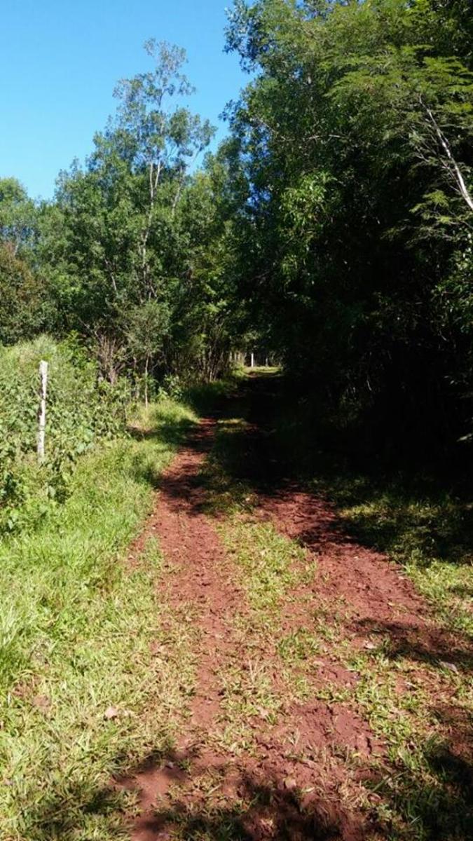 Colonia Cerro Cora ***REMATO - CHACRA -PROPIEDAD. $ 650000 $650.000 · Leandro N. Alem — foto 6