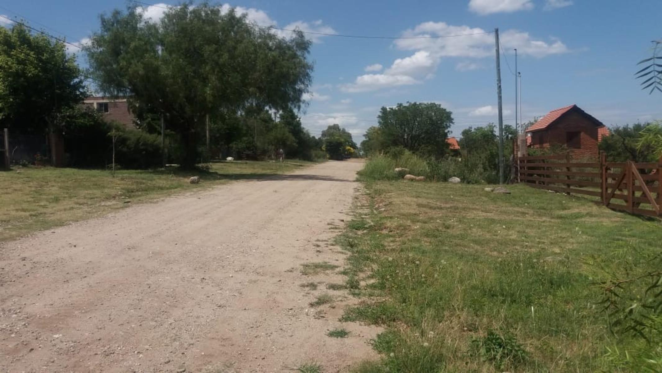 Rey del Bosque · Junín — foto 4
