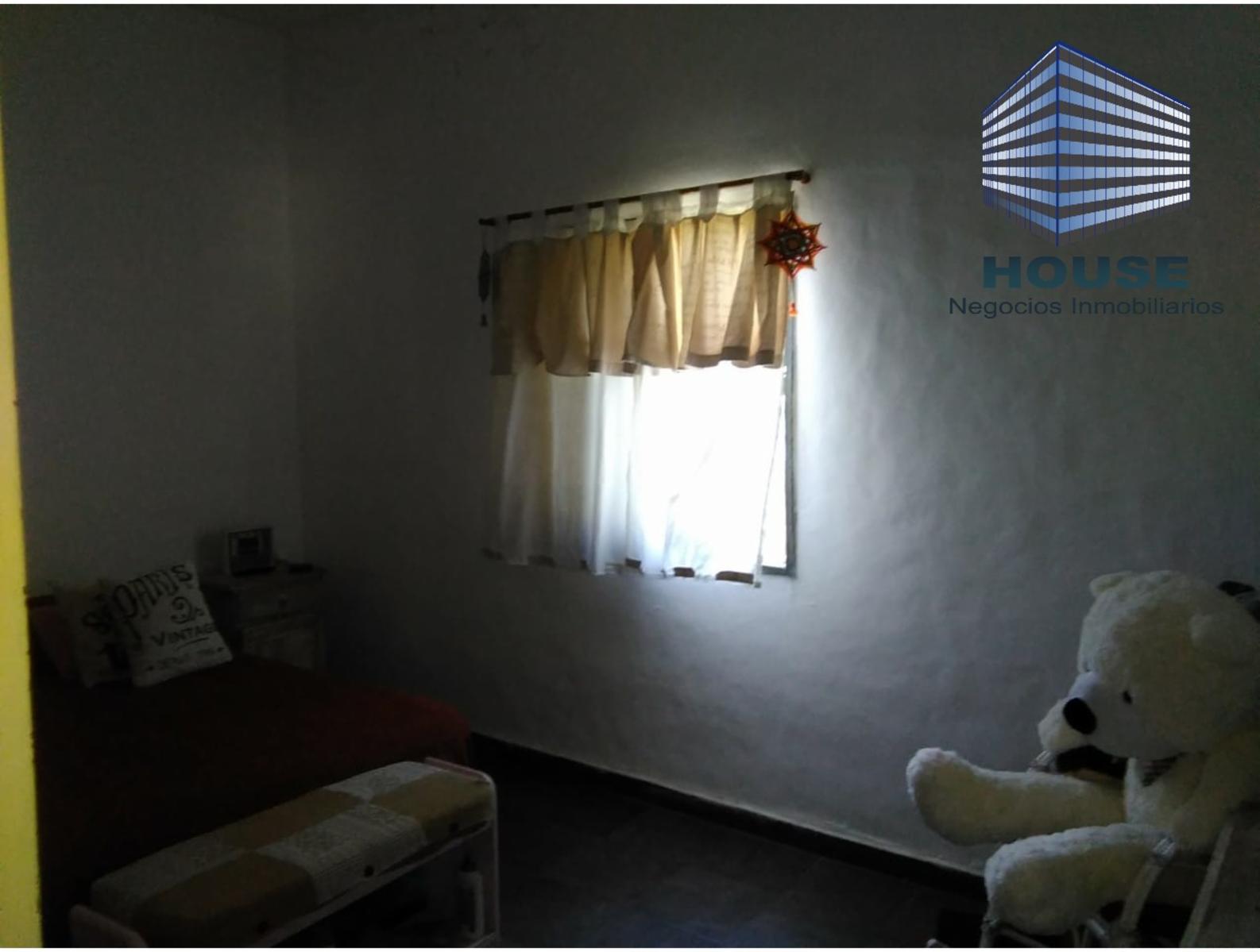 CALATHEA 4934 · Colón — foto 11