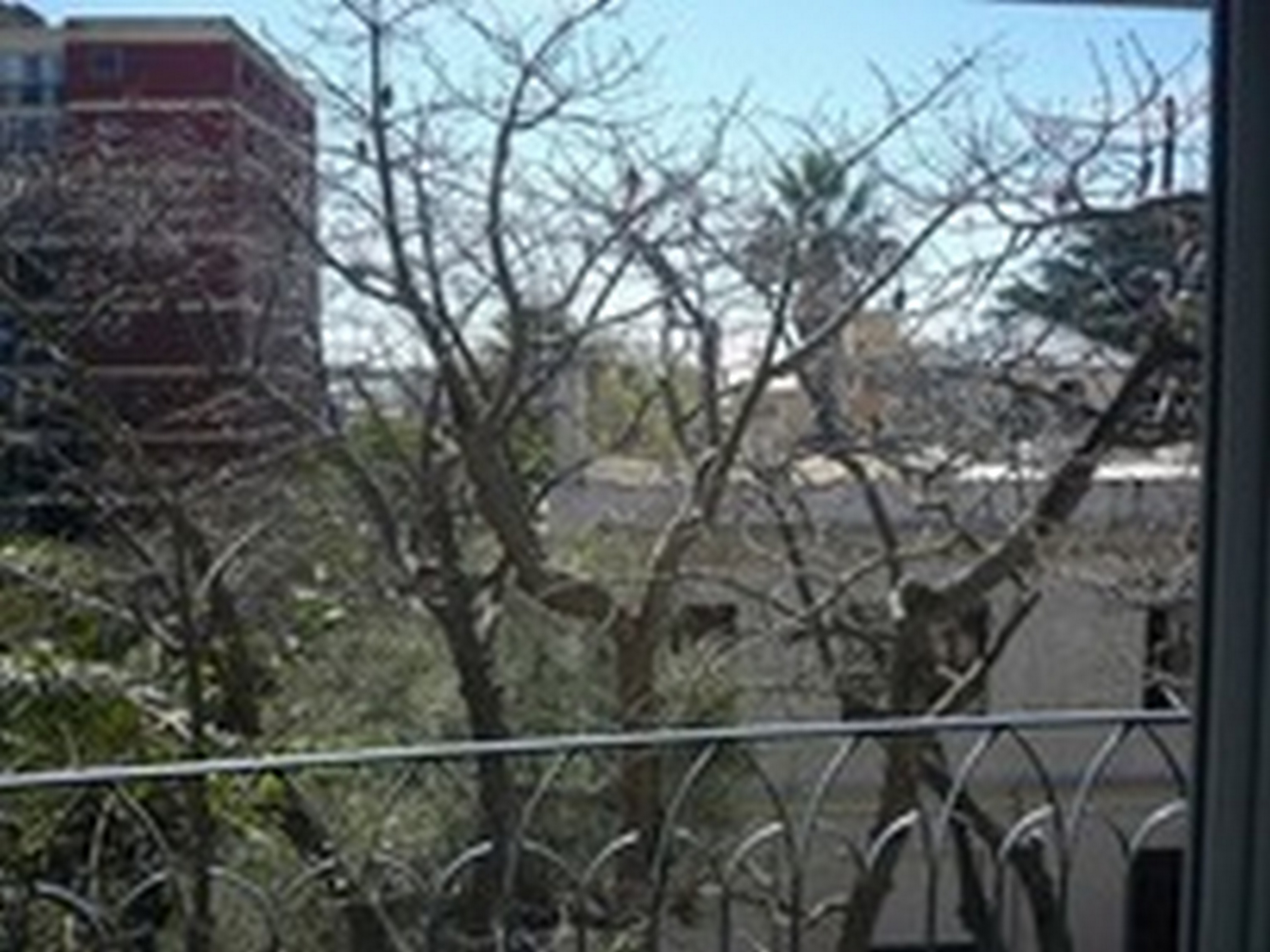 Av Peron al  400 · San Fernando — foto 25