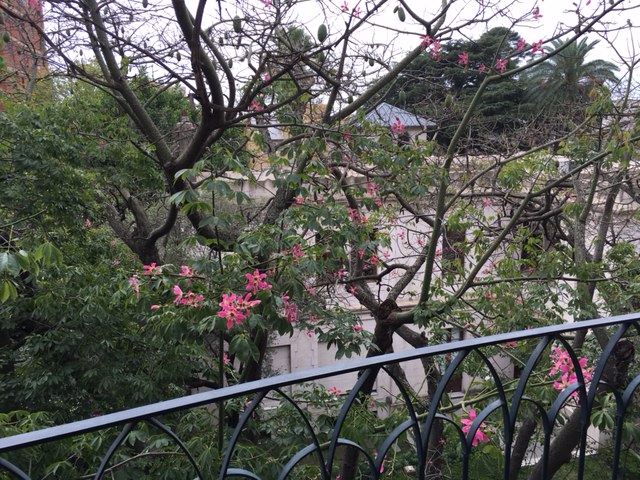 Av Peron al  400 · San Fernando — foto 10