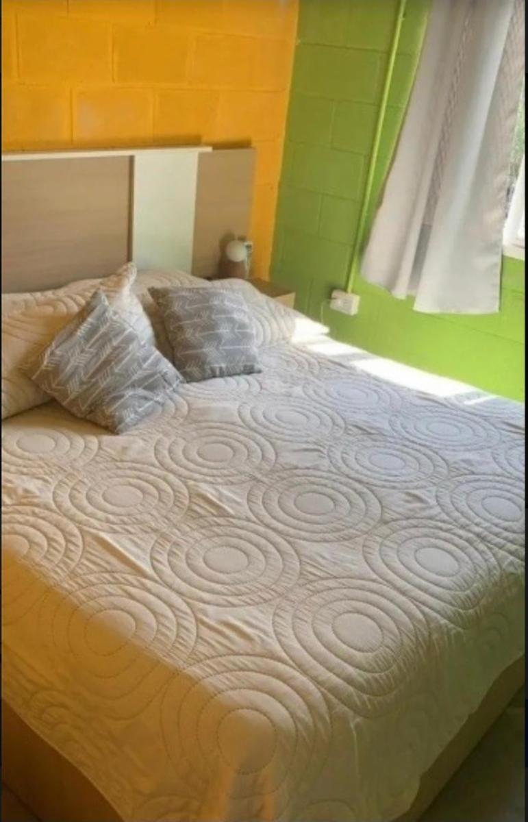 Pellegrini 2700 · Moreno — foto 6
