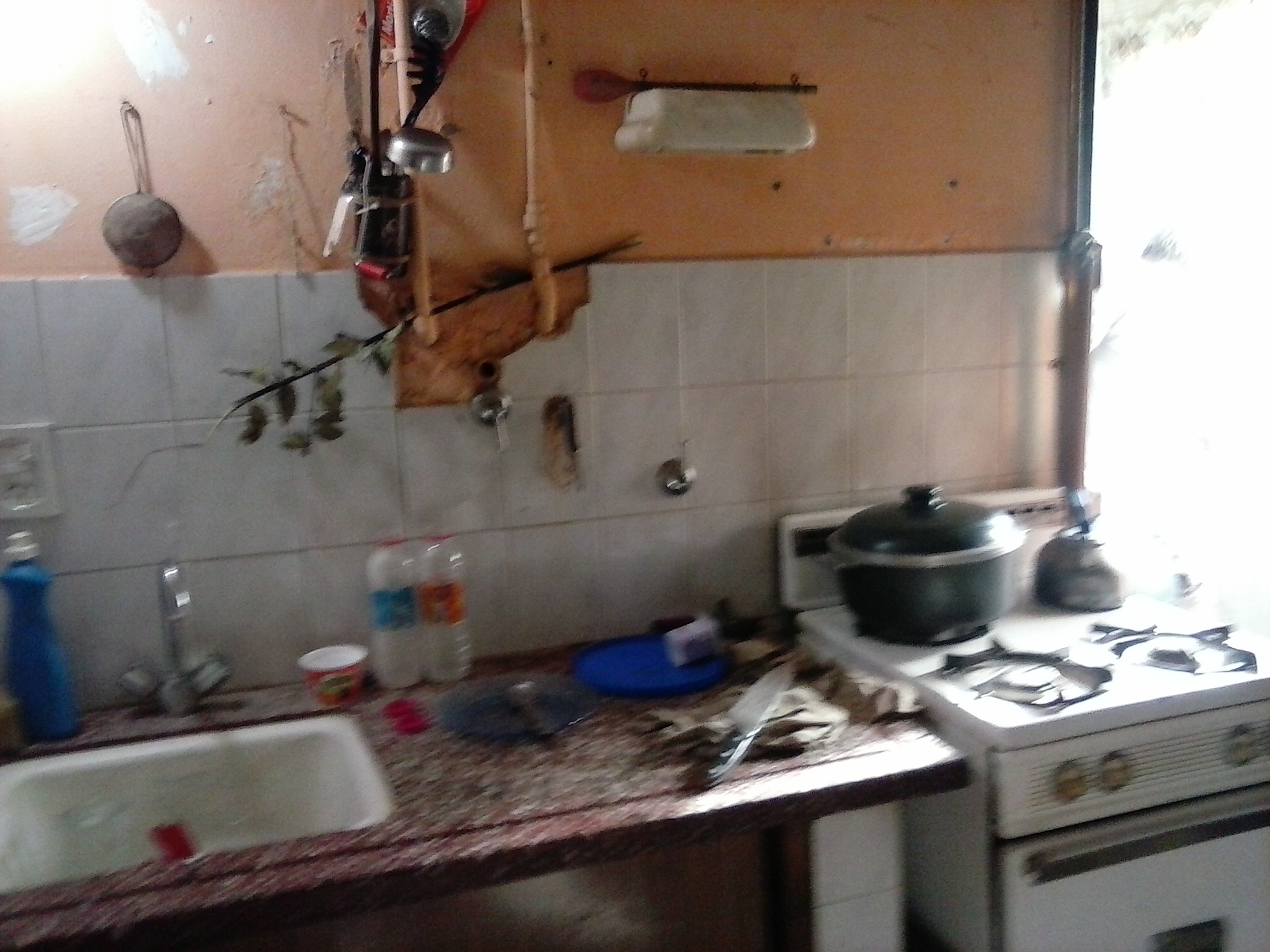 525 · La Plata — foto 3