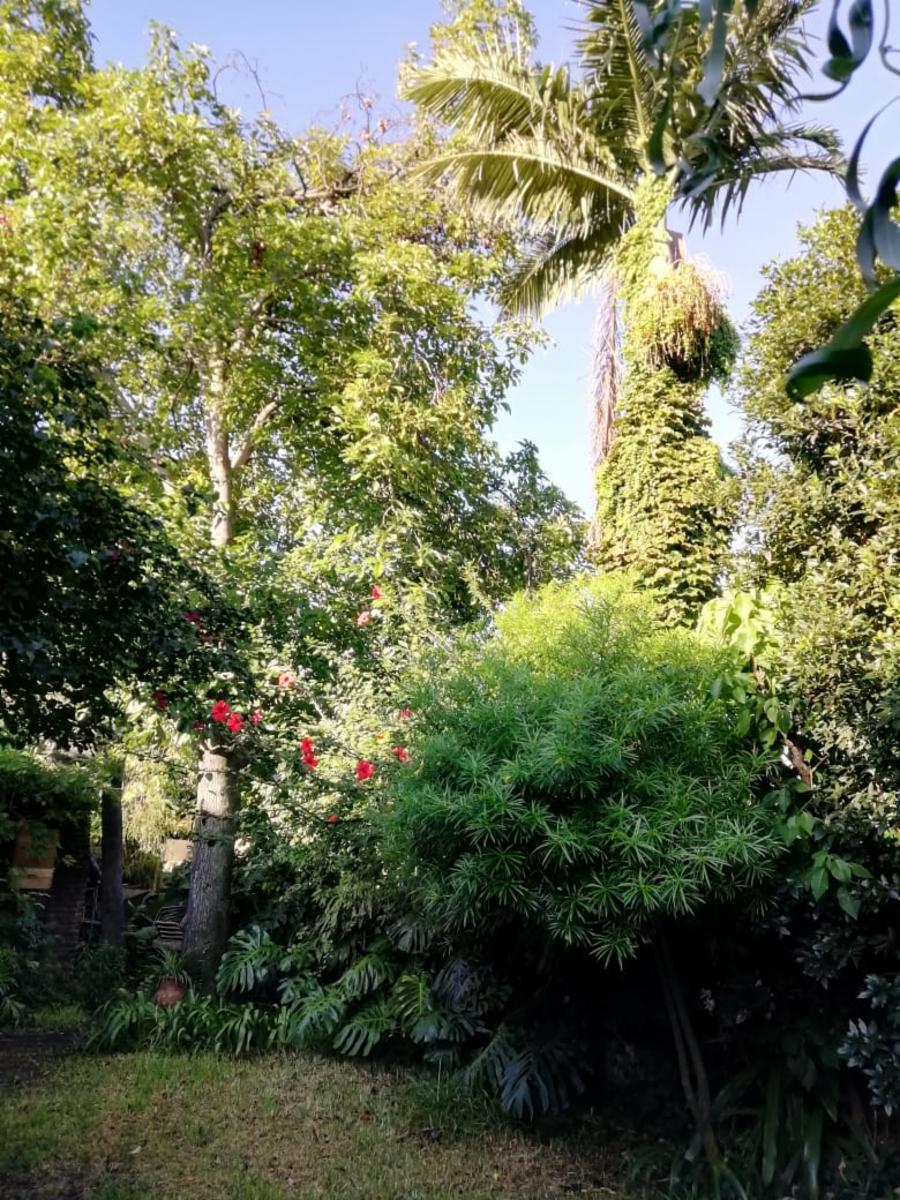 PARAGUAY 1045 · Morón — foto 13