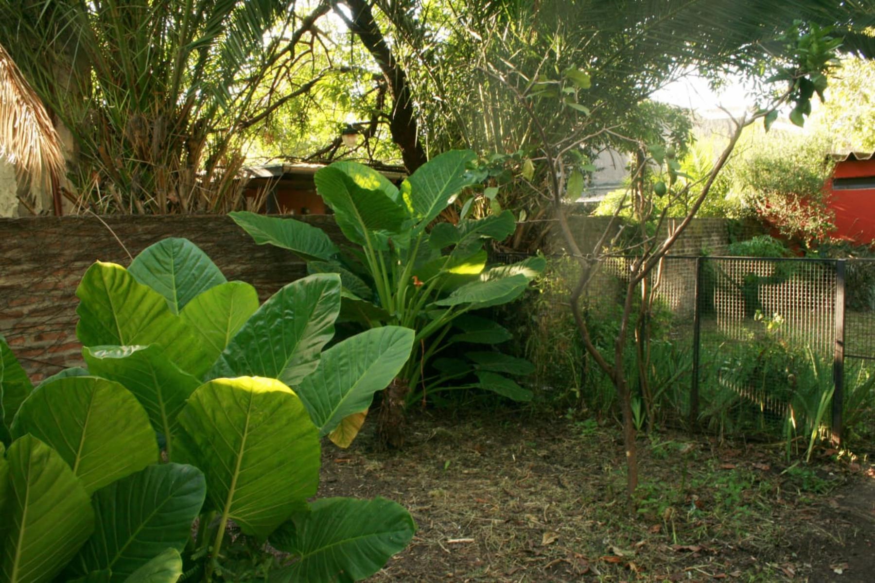 PARAGUAY 1045 · Morón — foto 16