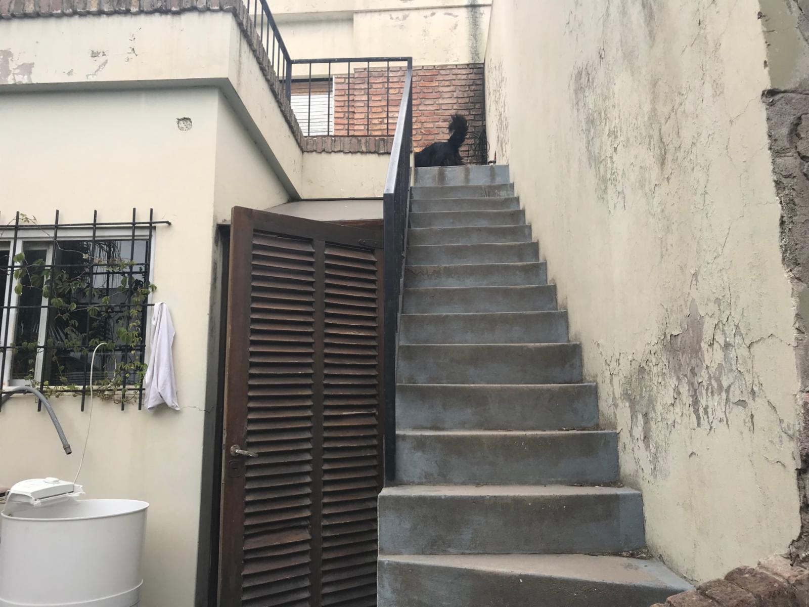 San Martin · Adolfo Alsina — foto 8