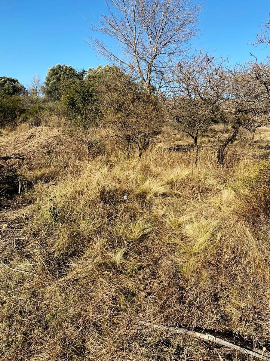 Eucaliptos 6 · Punilla — foto 11