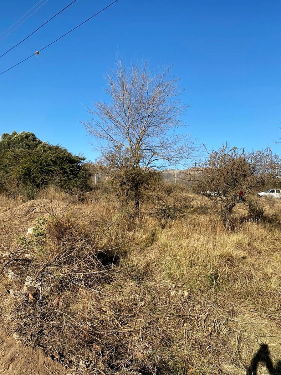Eucaliptos 6 · Punilla — foto 13