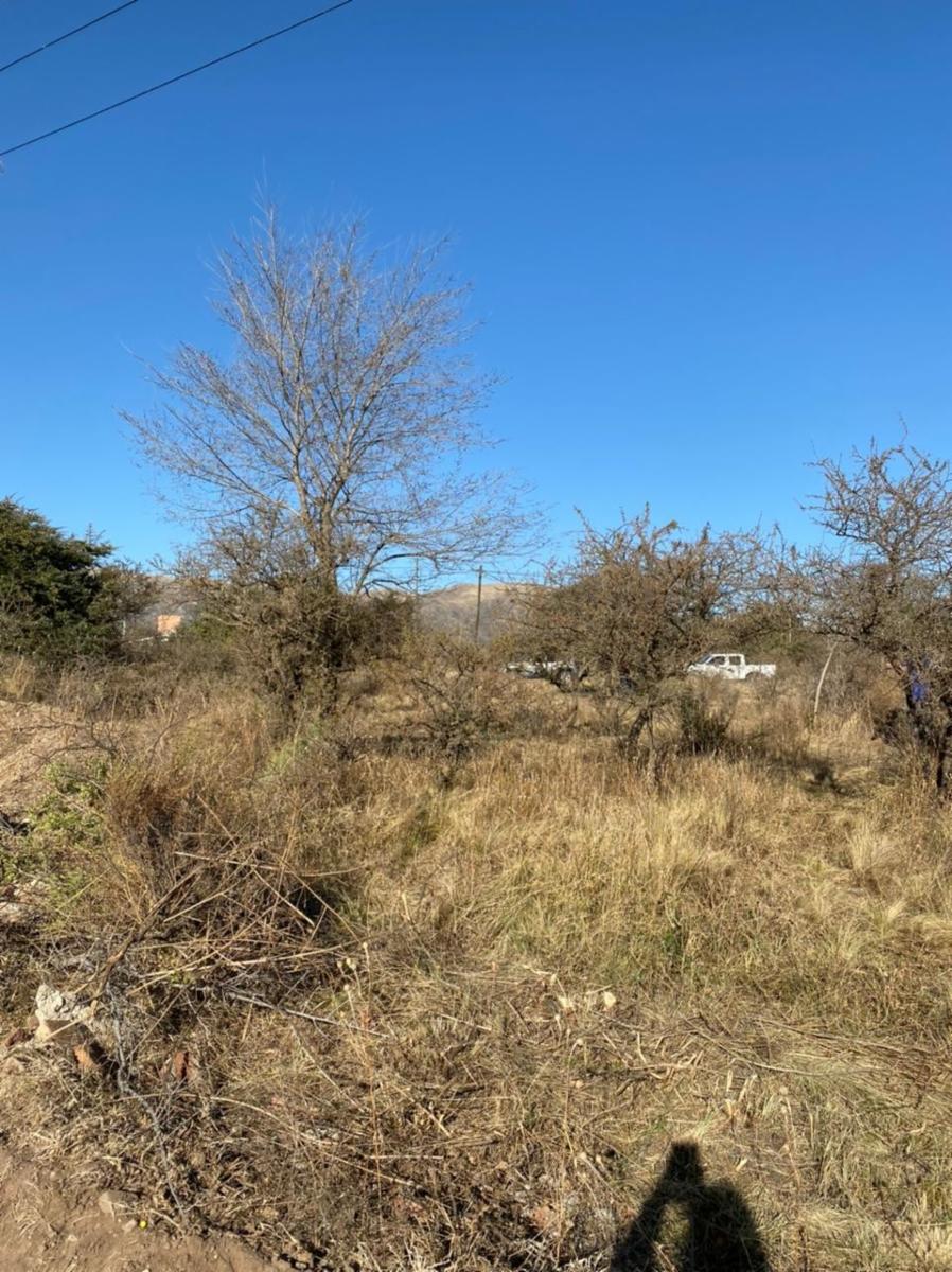 Eucaliptos 6 · Punilla — foto 14