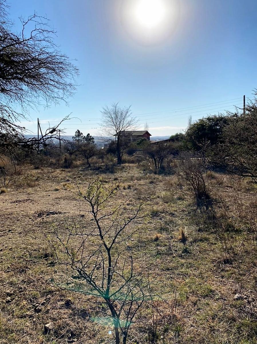 Eucaliptos 6 · Punilla — foto 16