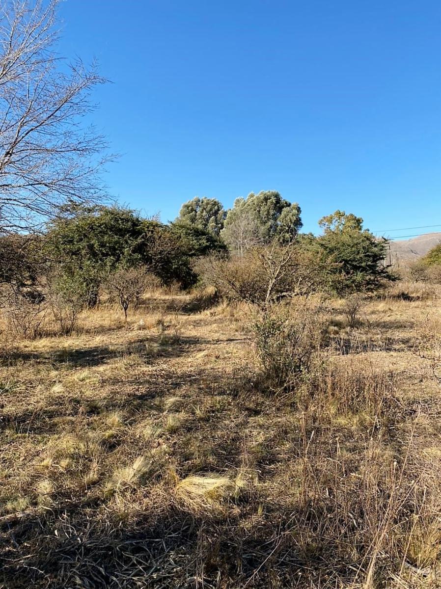 Eucaliptos 6 · Punilla — foto 18