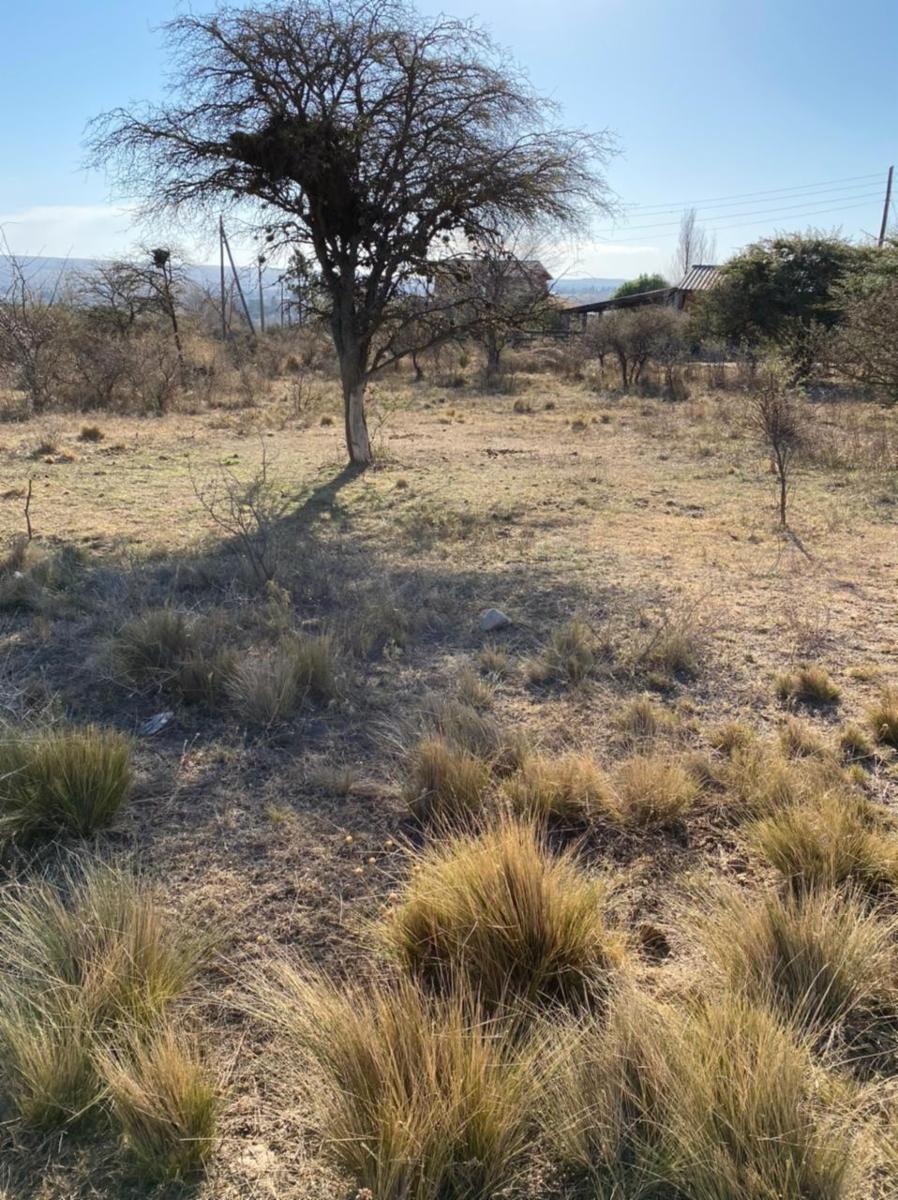 Eucaliptos 6 · Punilla — foto 3
