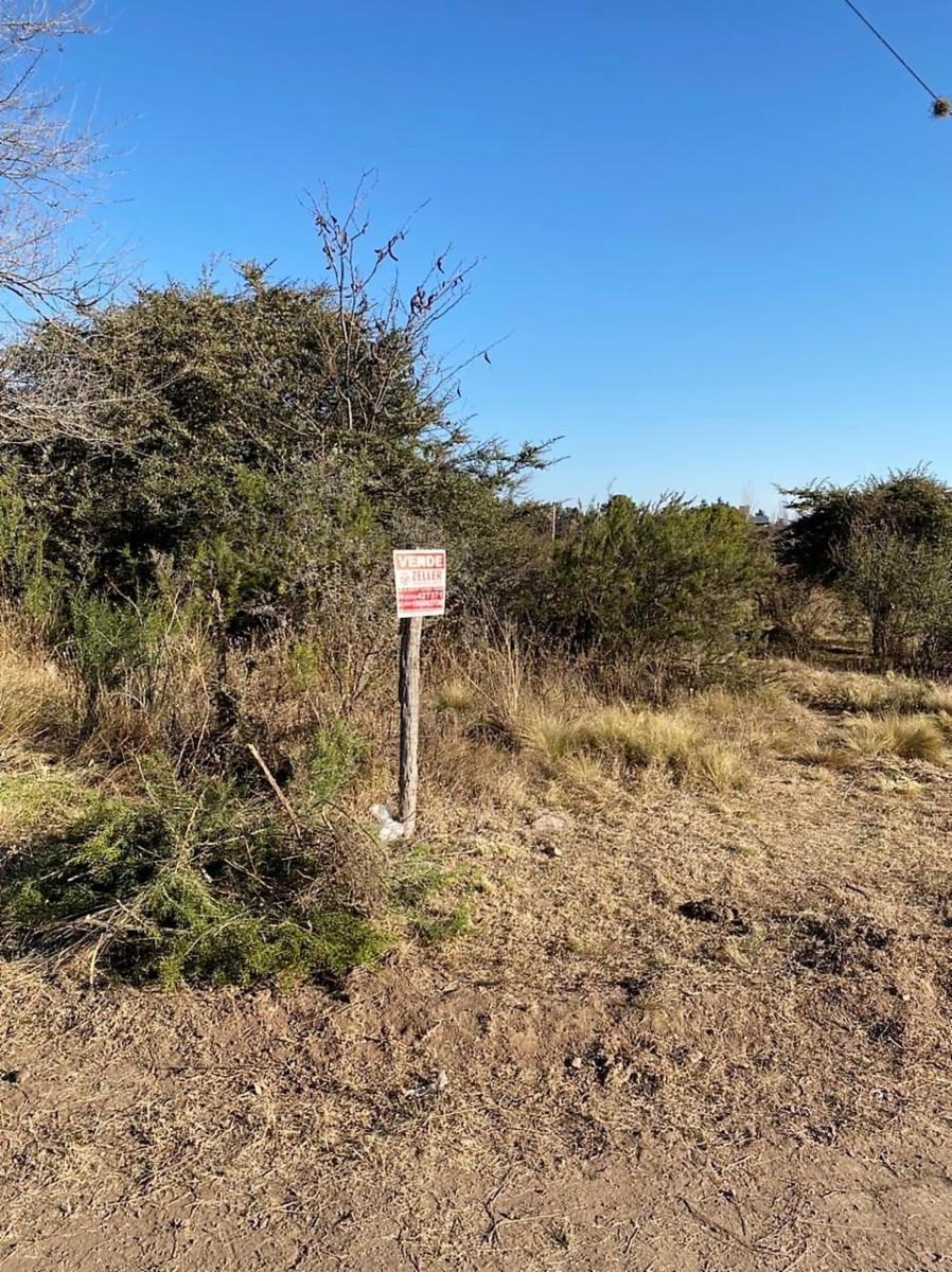 Eucaliptos 6 · Punilla — foto 23