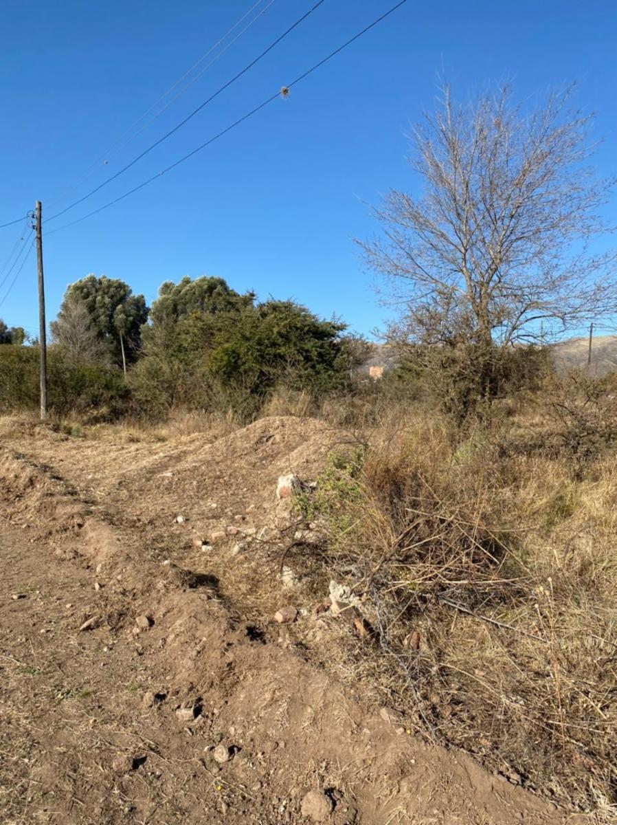 Eucaliptos 6 · Punilla — foto 28