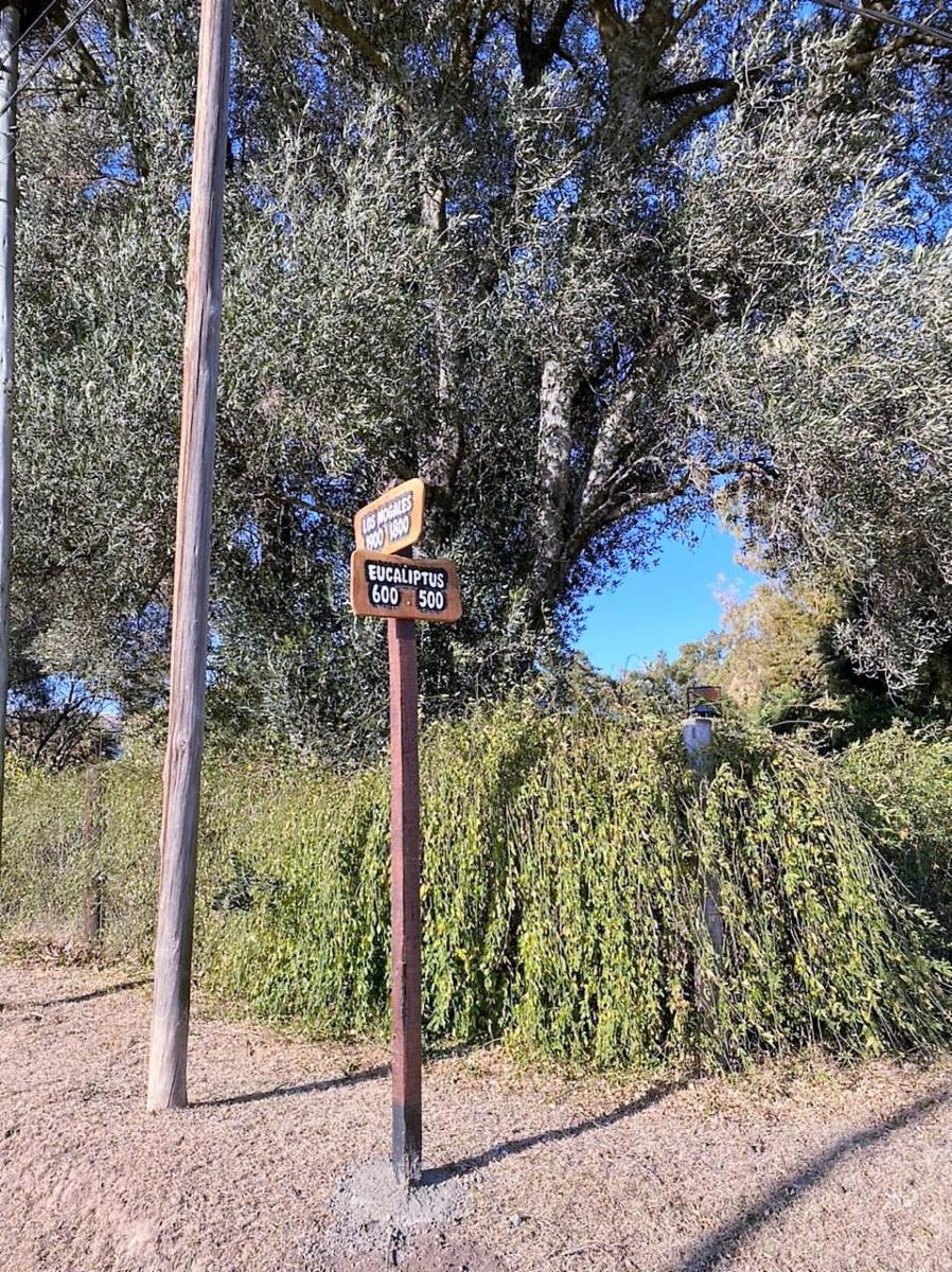 Eucaliptos 6 · Punilla — foto 31