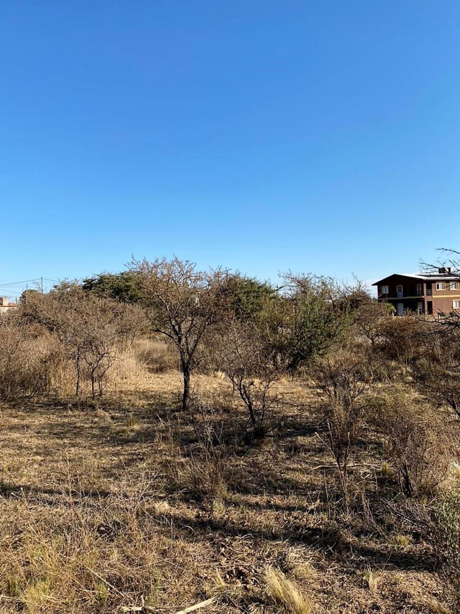 Eucaliptos 6 · Punilla — foto 10