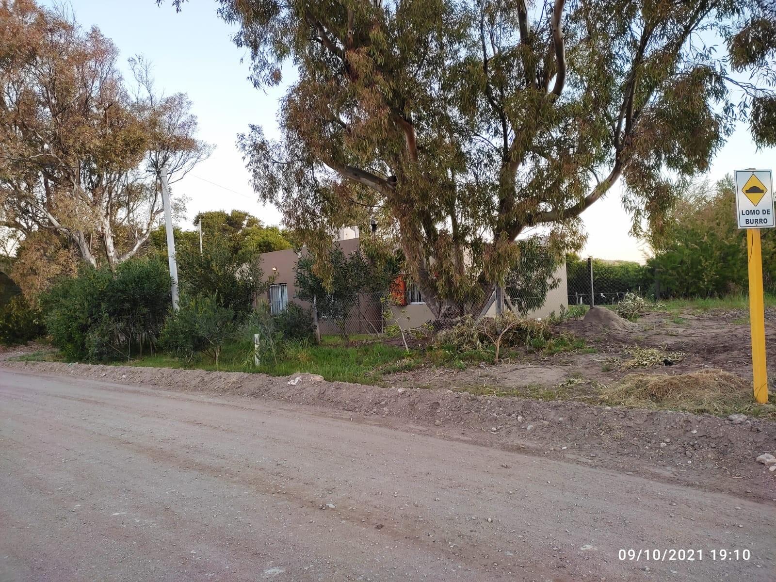 puleston 3242 · Monte Hermoso — foto 3