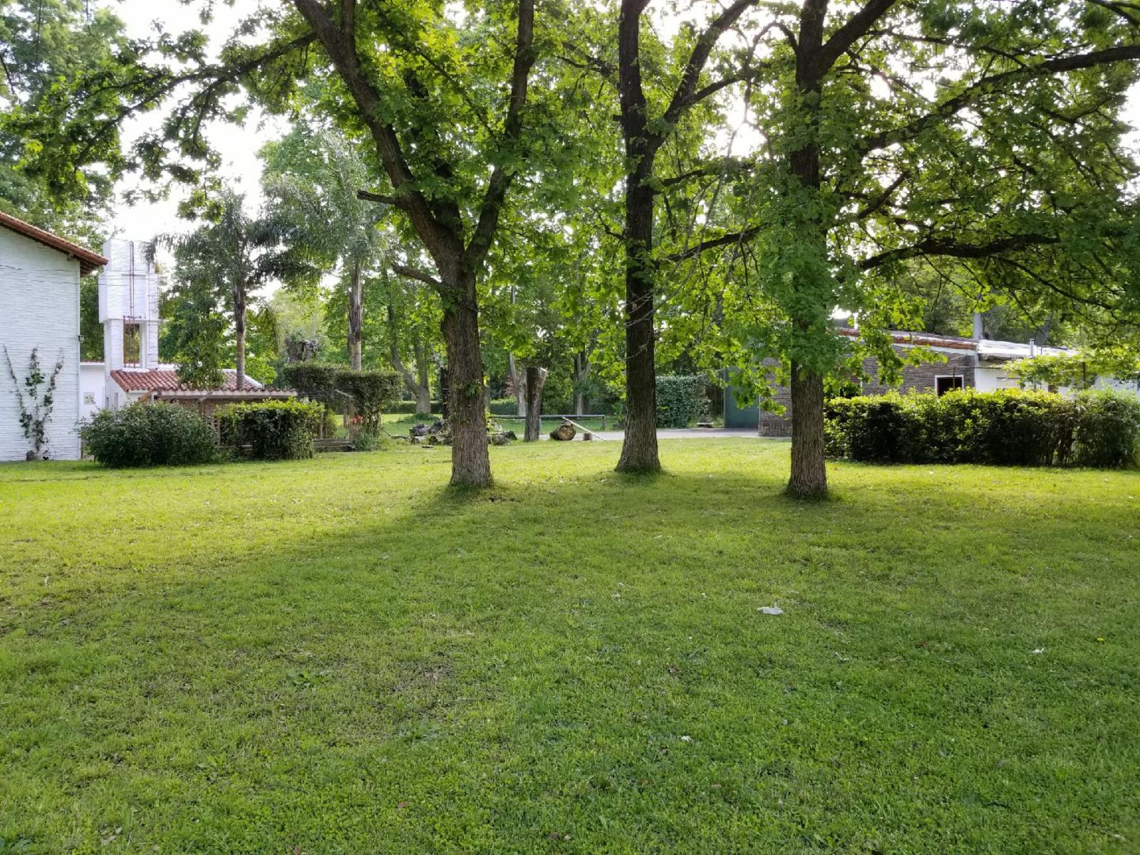 D · Moreno — foto 23