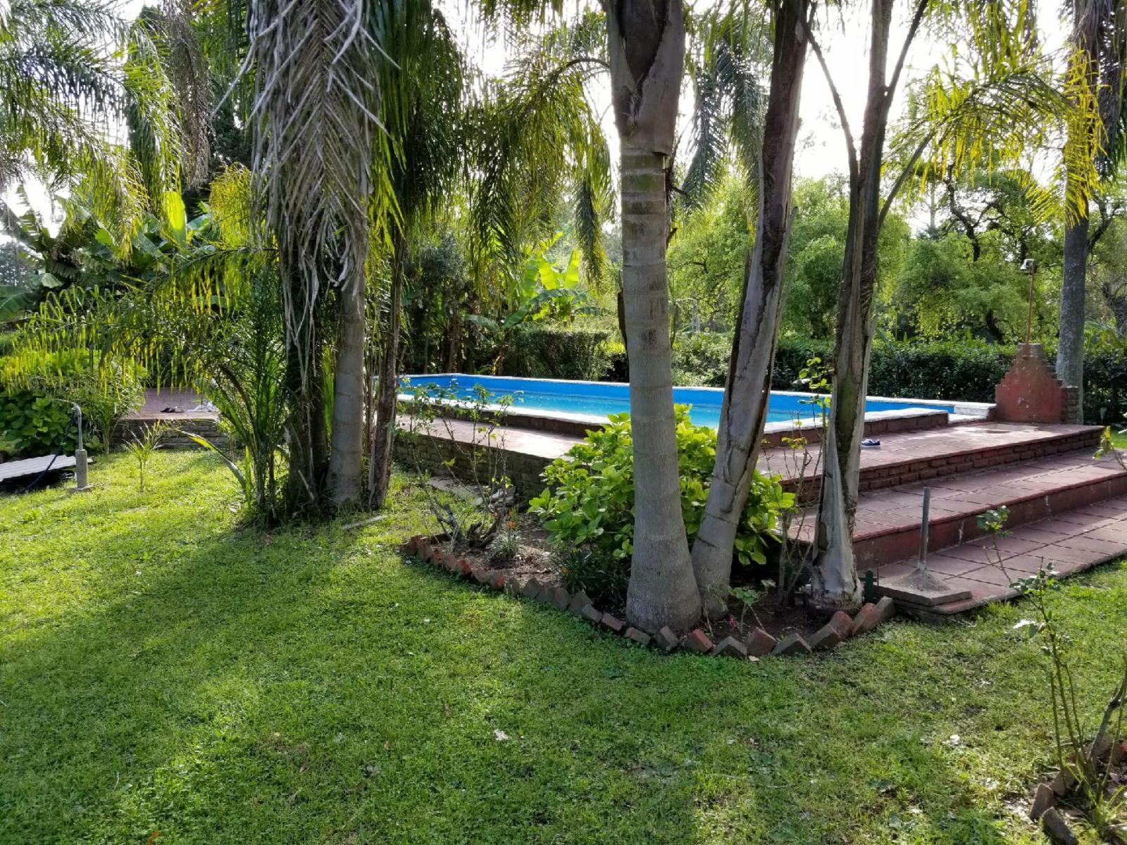 D · Moreno — foto 25